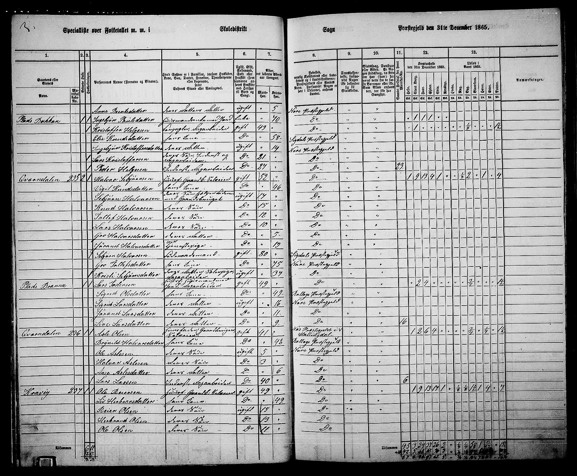 RA, 1865 census for Nore, 1865, p. 15