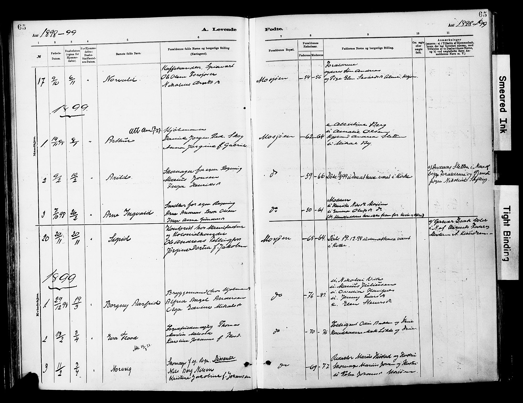 Ministerialprotokoller, klokkerbøker og fødselsregistre - Nordland, SAT/A-1459/820/L0296: Parish register (official) no. 820A17, 1880-1903, p. 65