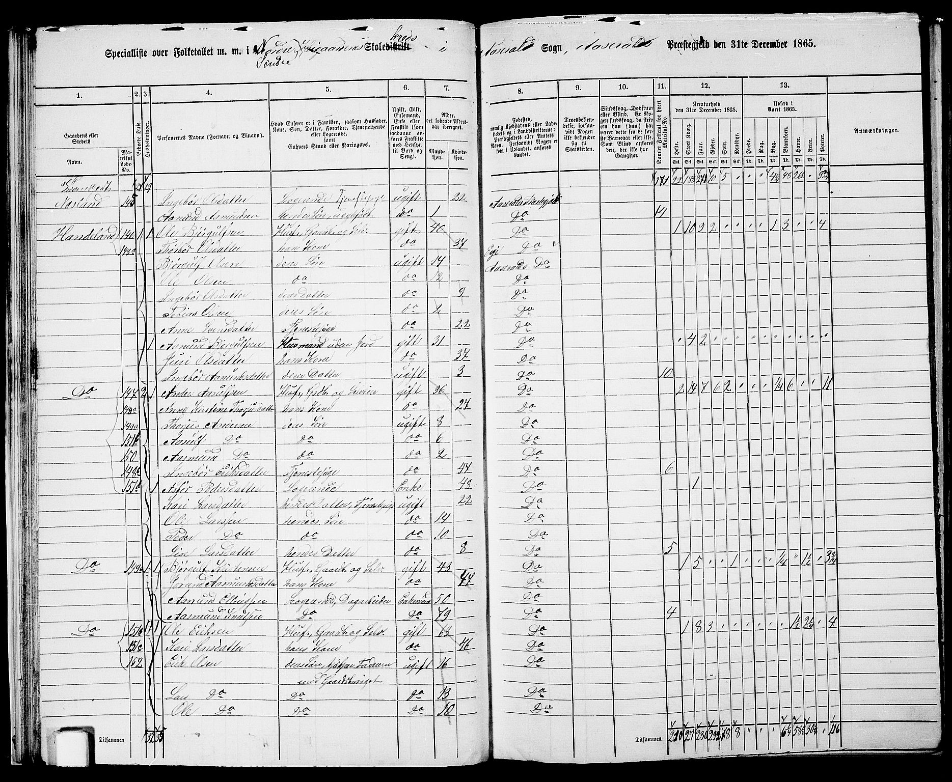 RA, 1865 census for Åseral, 1865, p. 29