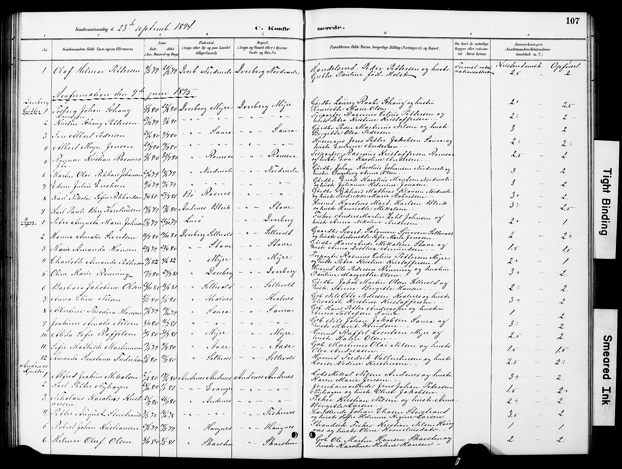 Ministerialprotokoller, klokkerbøker og fødselsregistre - Nordland, AV/SAT-A-1459/897/L1413: Parish register (copy) no. 897C03, 1887-1903, p. 107