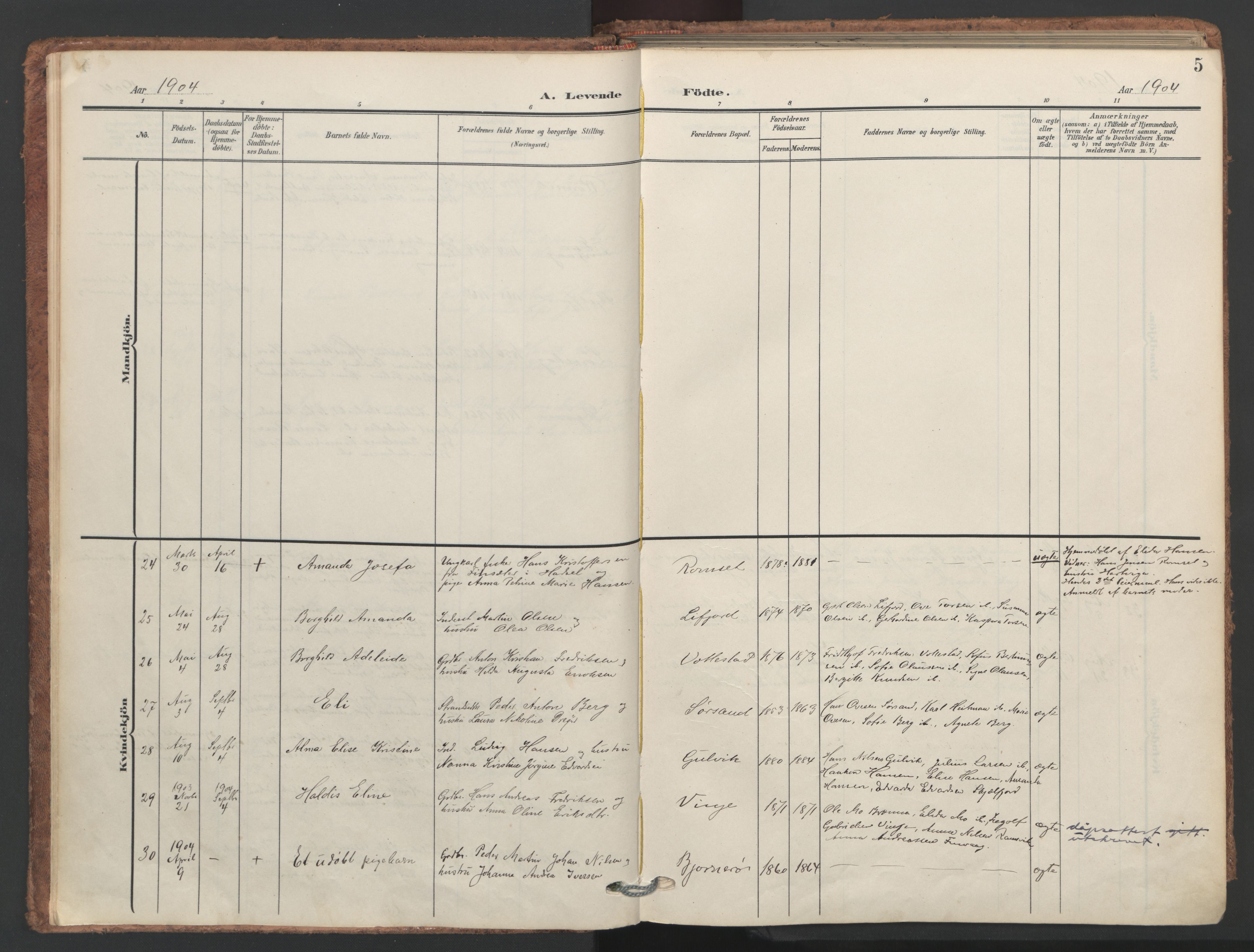 Ministerialprotokoller, klokkerbøker og fødselsregistre - Nordland, AV/SAT-A-1459/893/L1339: Parish register (official) no. 893A11, 1904-1914, p. 5