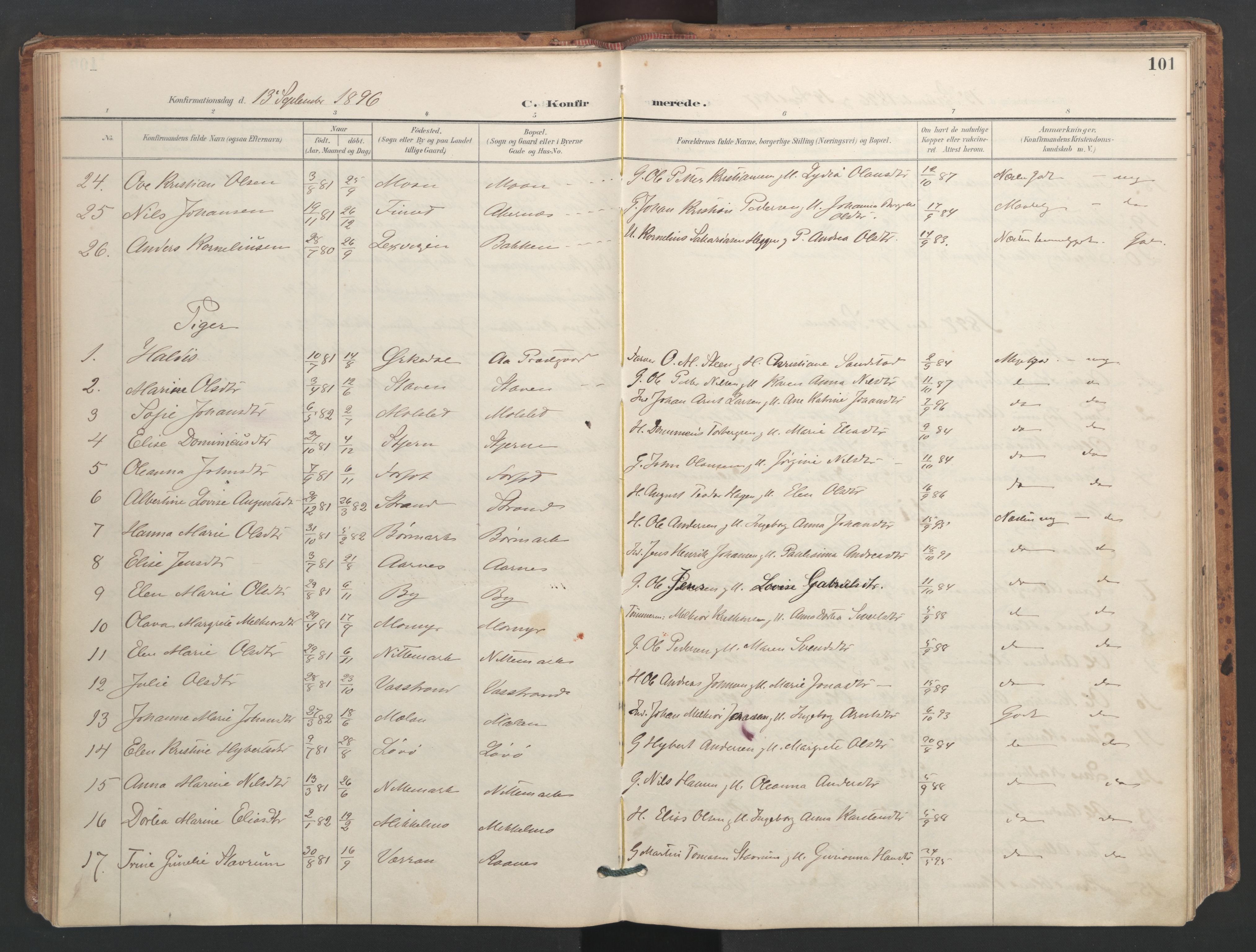 Ministerialprotokoller, klokkerbøker og fødselsregistre - Sør-Trøndelag, AV/SAT-A-1456/655/L0681: Parish register (official) no. 655A10, 1895-1907, p. 101