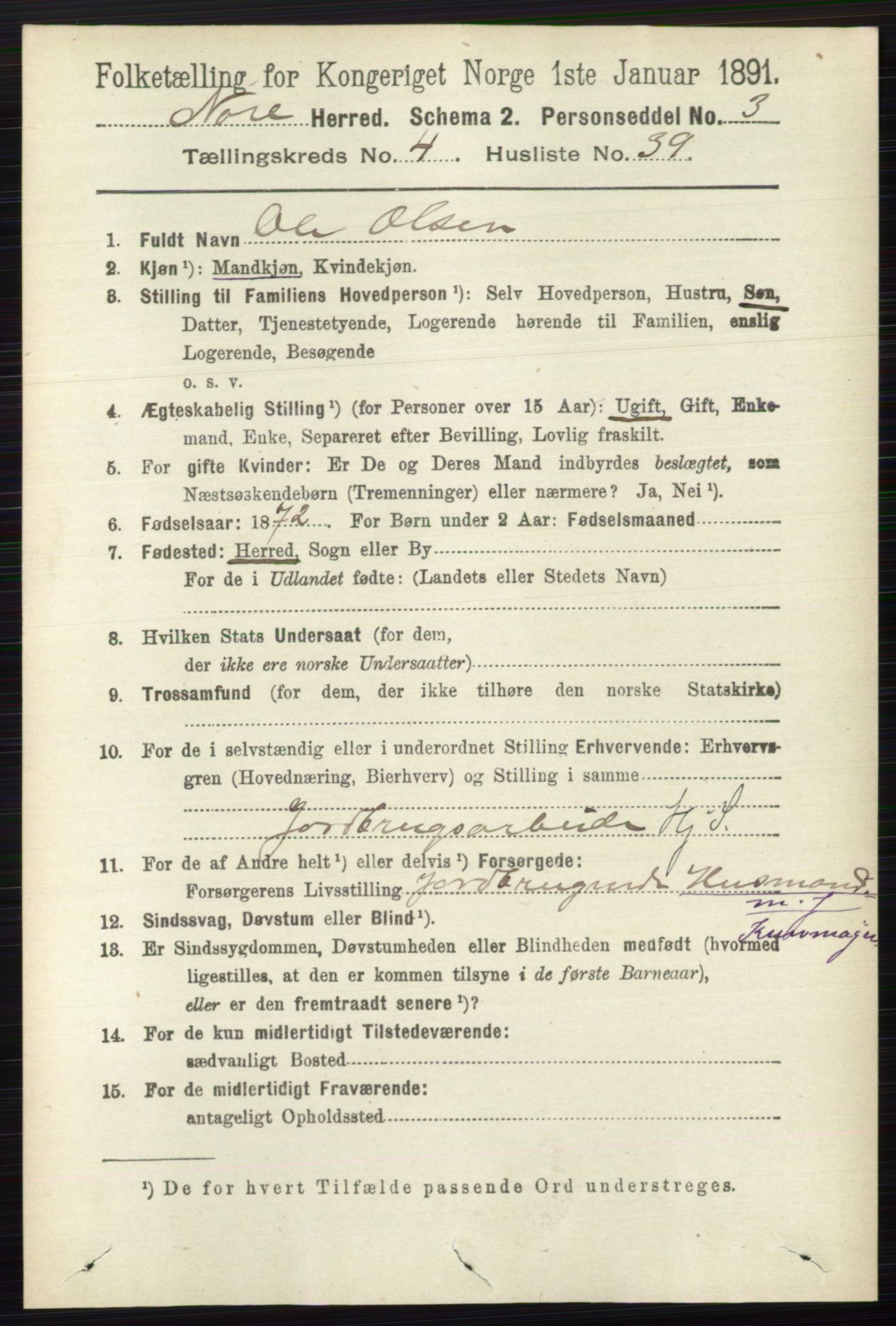 RA, 1891 census for 0633 Nore, 1891, p. 1496