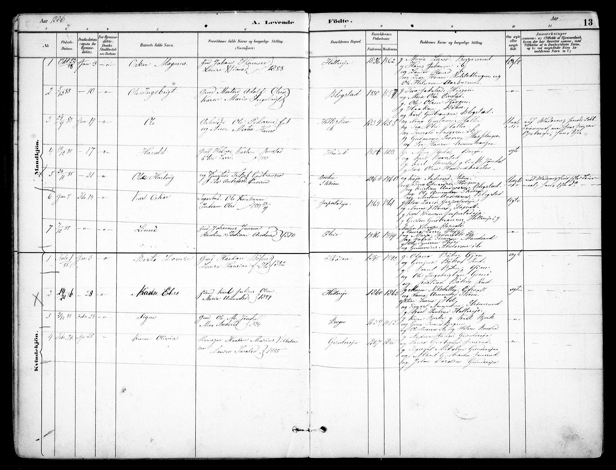 Nes prestekontor Kirkebøker, AV/SAO-A-10410/F/Fb/L0002: Parish register (official) no. II 2, 1883-1918, p. 13