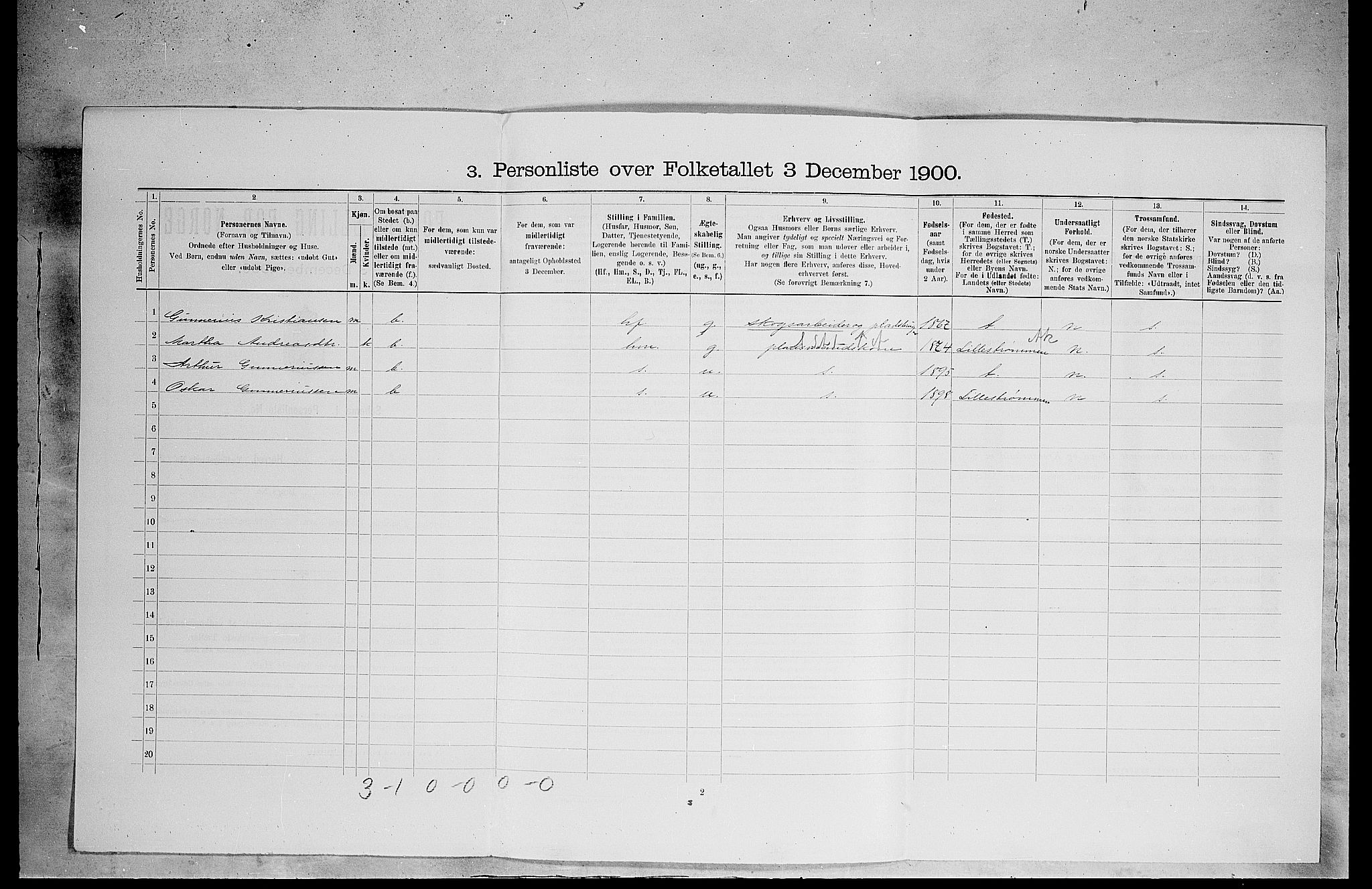 SAH, 1900 census for Eidskog, 1900, p. 490