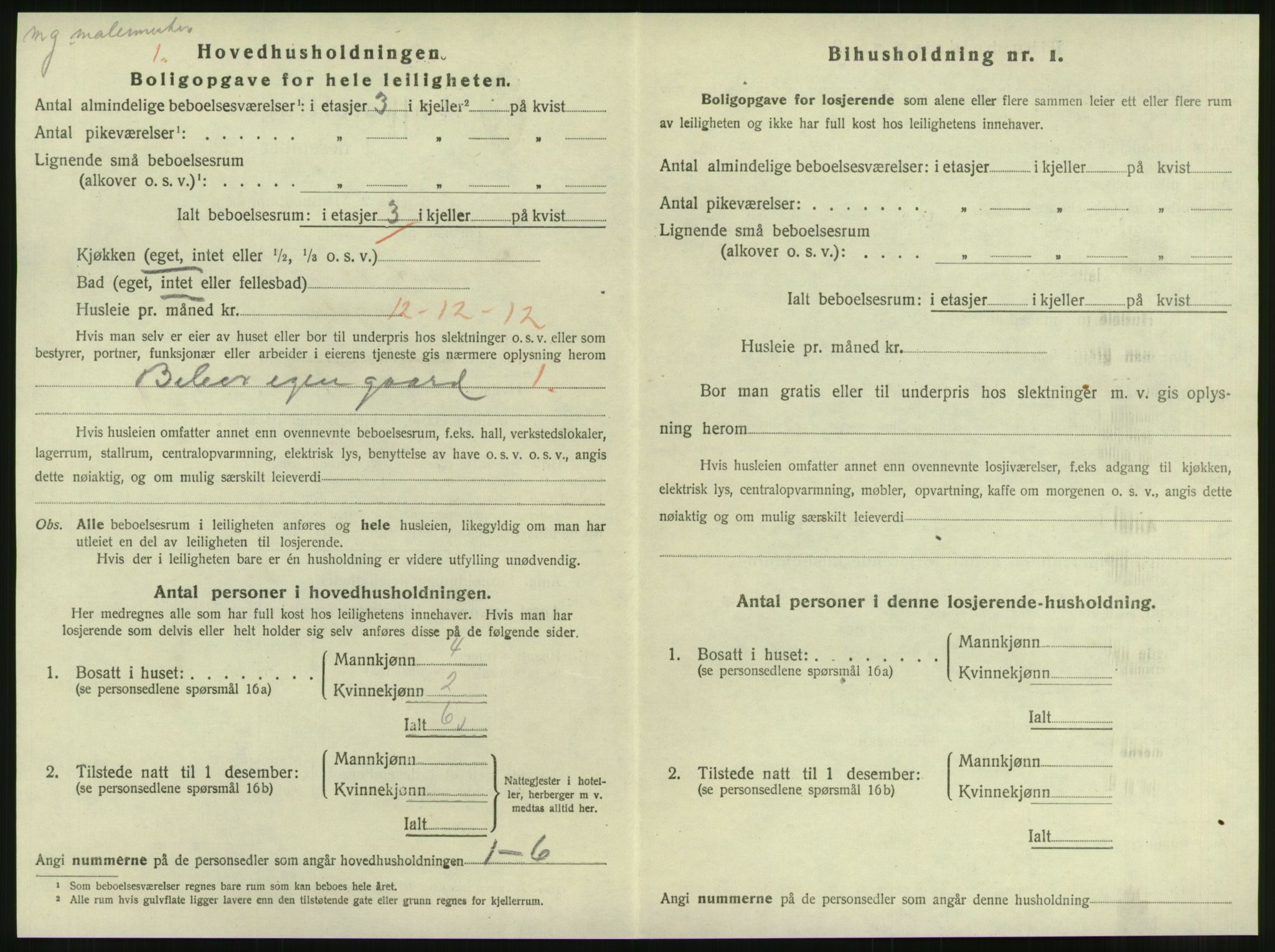 SAT, 1920 census for Steinkjer, 1920, p. 1133