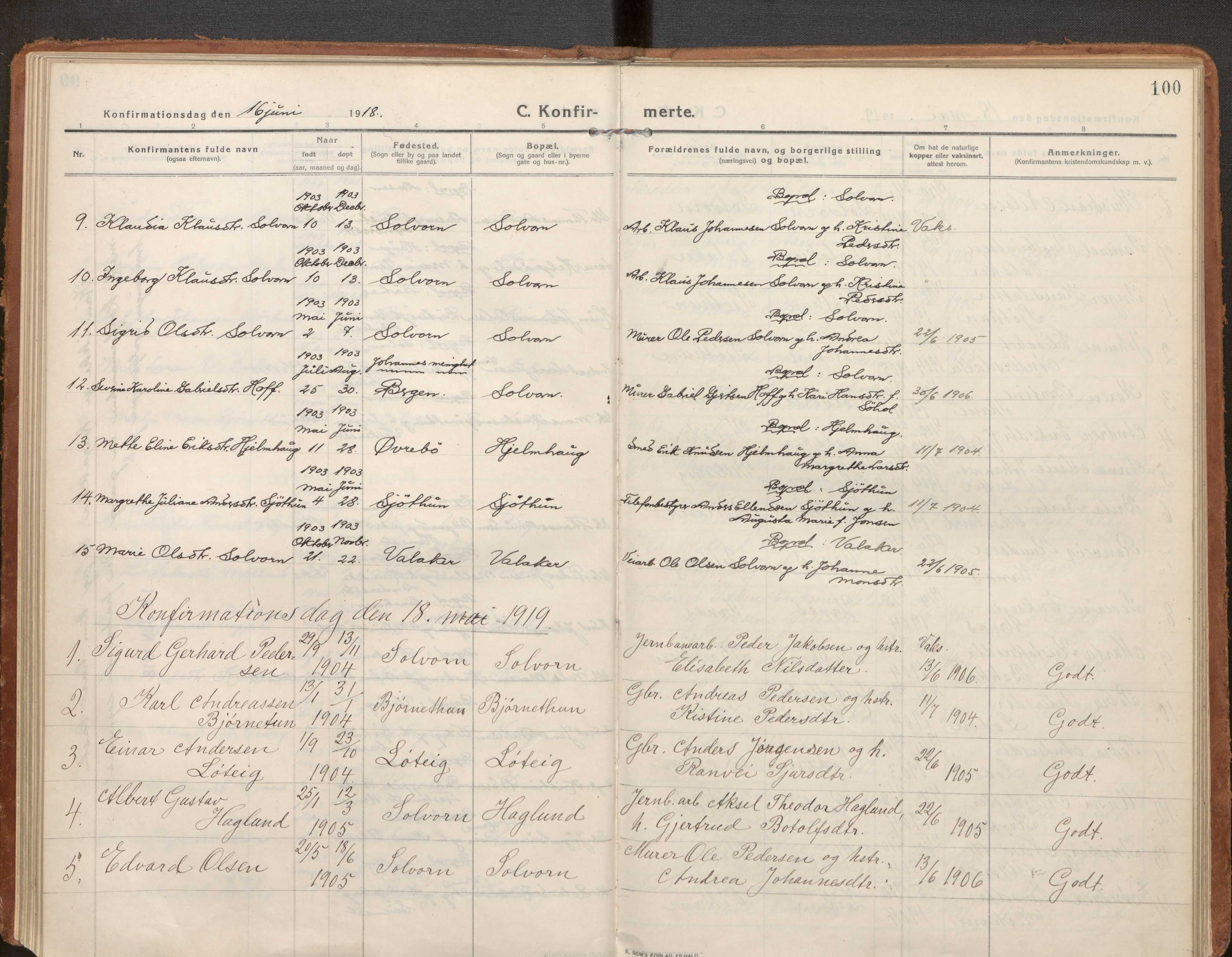 Hafslo sokneprestembete, SAB/A-80301/H/Haa/Haac/L0002: Parish register (official) no. C 2, 1914-1955, p. 100