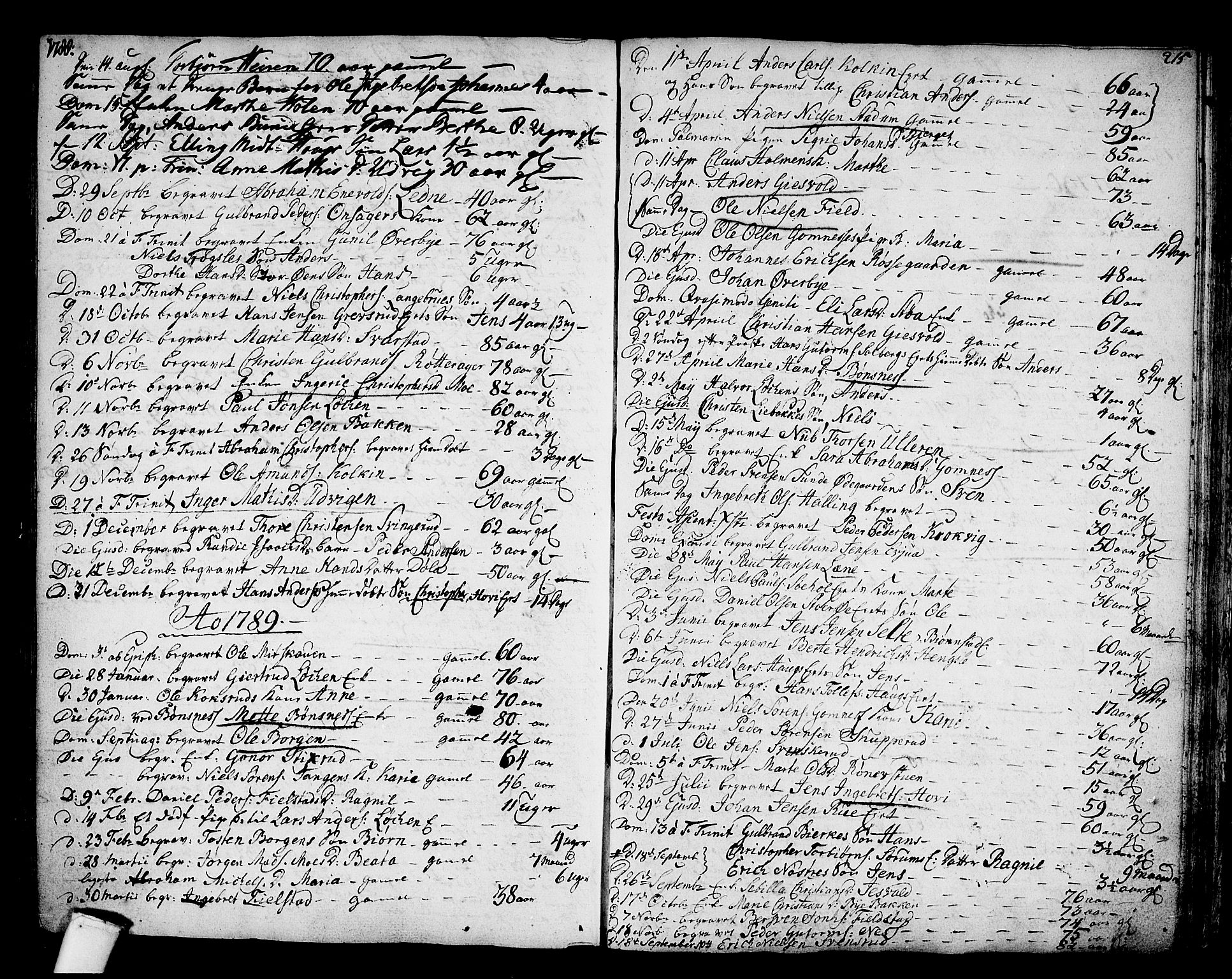 Hole kirkebøker, SAKO/A-228/F/Fa/L0002: Parish register (official) no. I 2, 1766-1814, p. 215