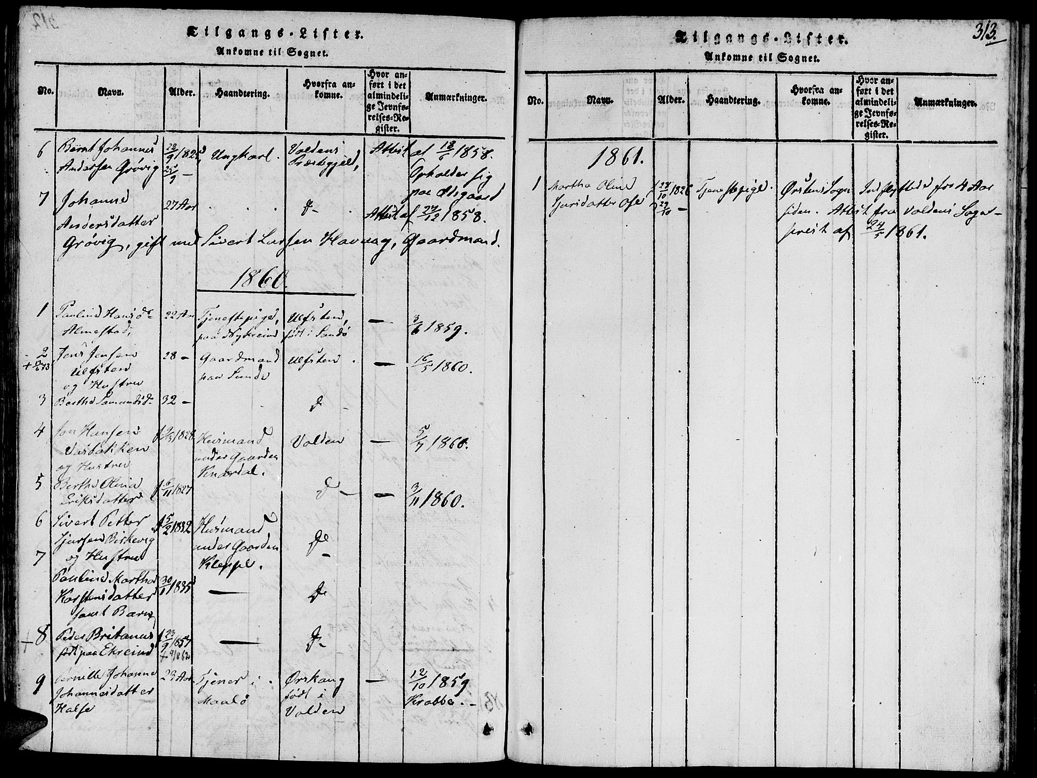 Ministerialprotokoller, klokkerbøker og fødselsregistre - Møre og Romsdal, SAT/A-1454/504/L0054: Parish register (official) no. 504A01, 1816-1861, p. 313