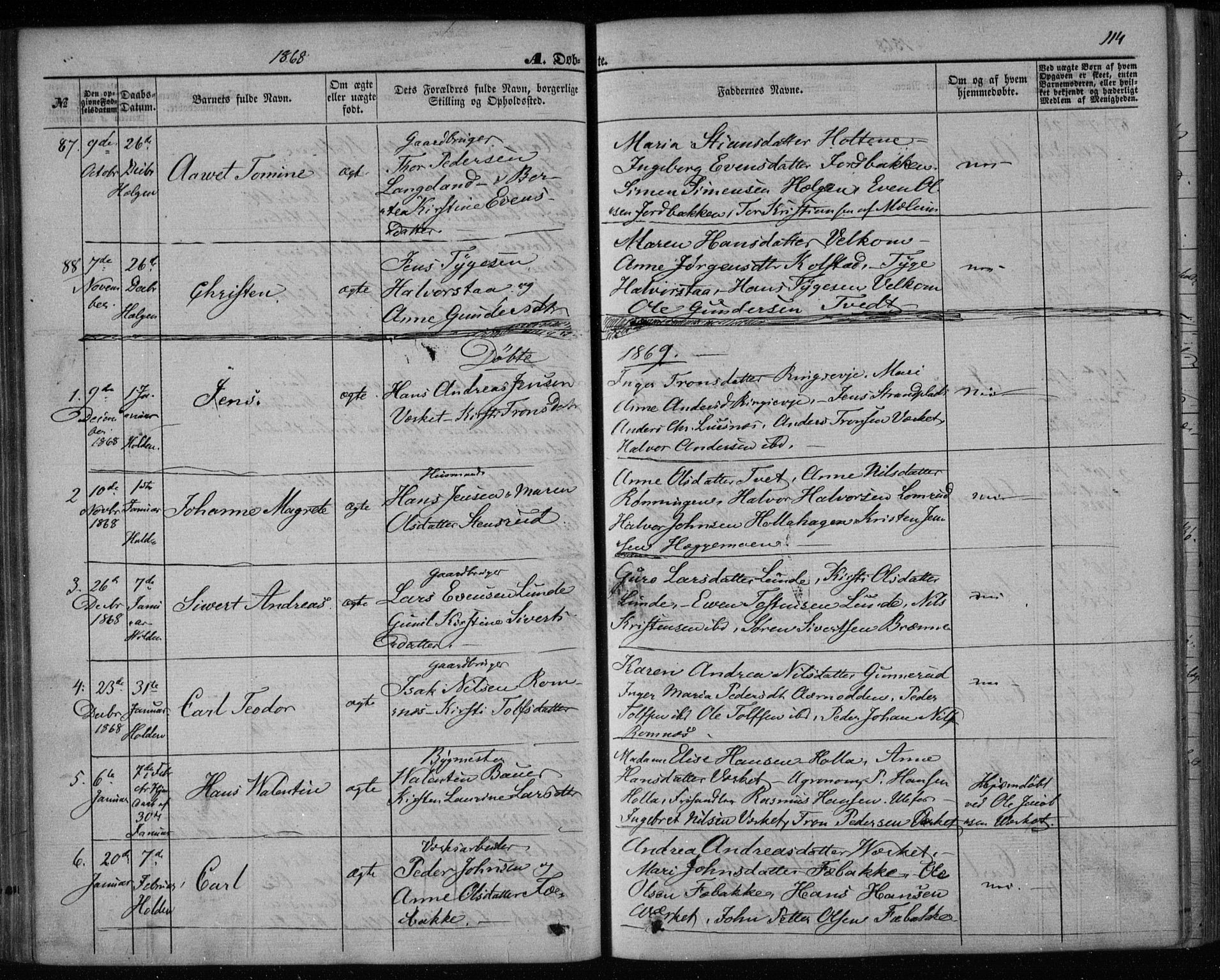 Holla kirkebøker, AV/SAKO-A-272/F/Fa/L0006: Parish register (official) no. 6, 1861-1869, p. 114