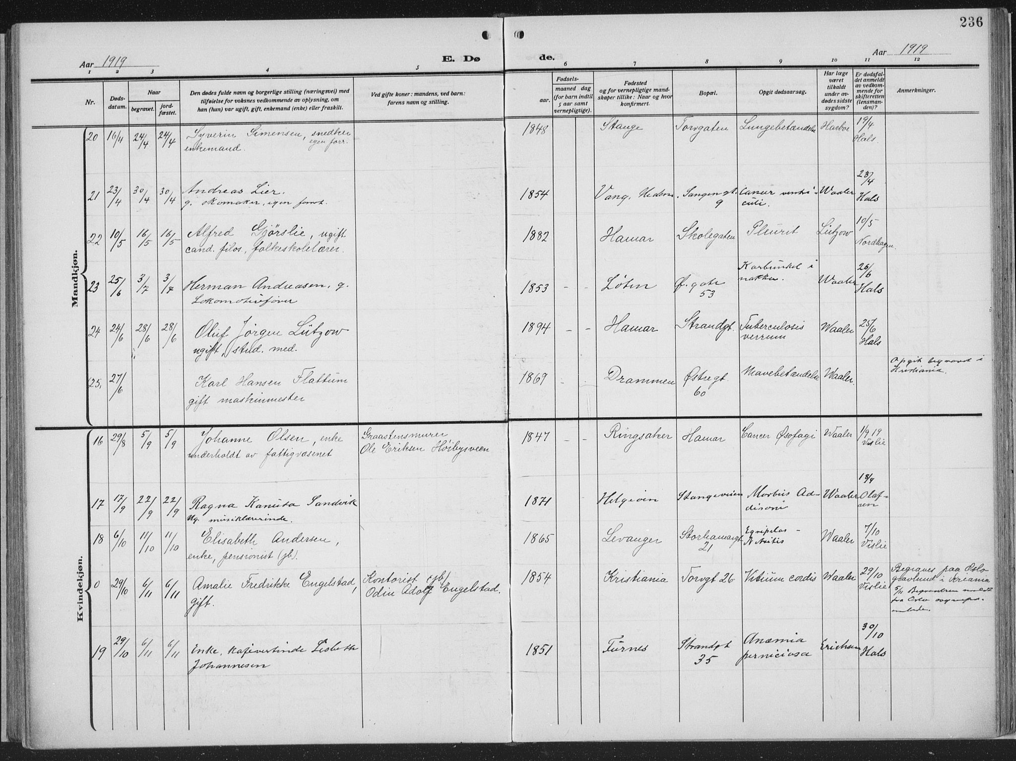 Hamar prestekontor, AV/SAH-DOMPH-002/H/Ha/Haa/L0002: Parish register (official) no. 2, 1915-1936, p. 236