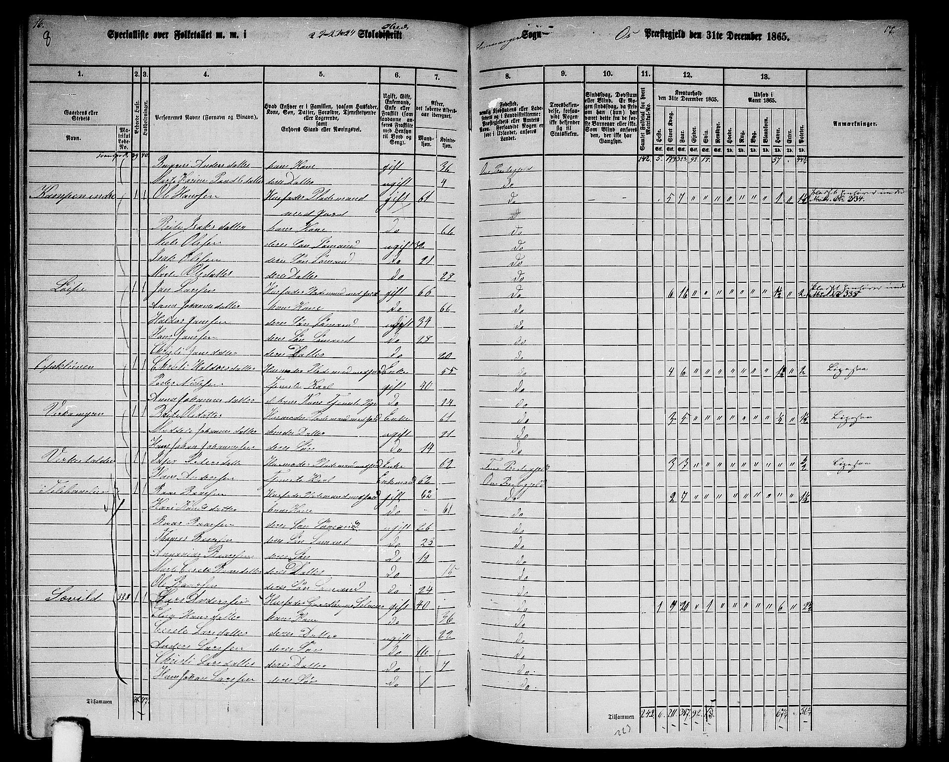 RA, 1865 census for Os, 1865, p. 145