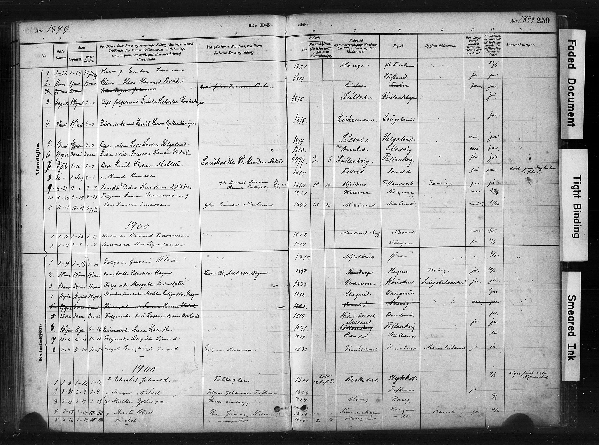 Hjelmeland sokneprestkontor, AV/SAST-A-101843/01/IV/L0014: Parish register (official) no. A 14, 1879-1900, p. 259