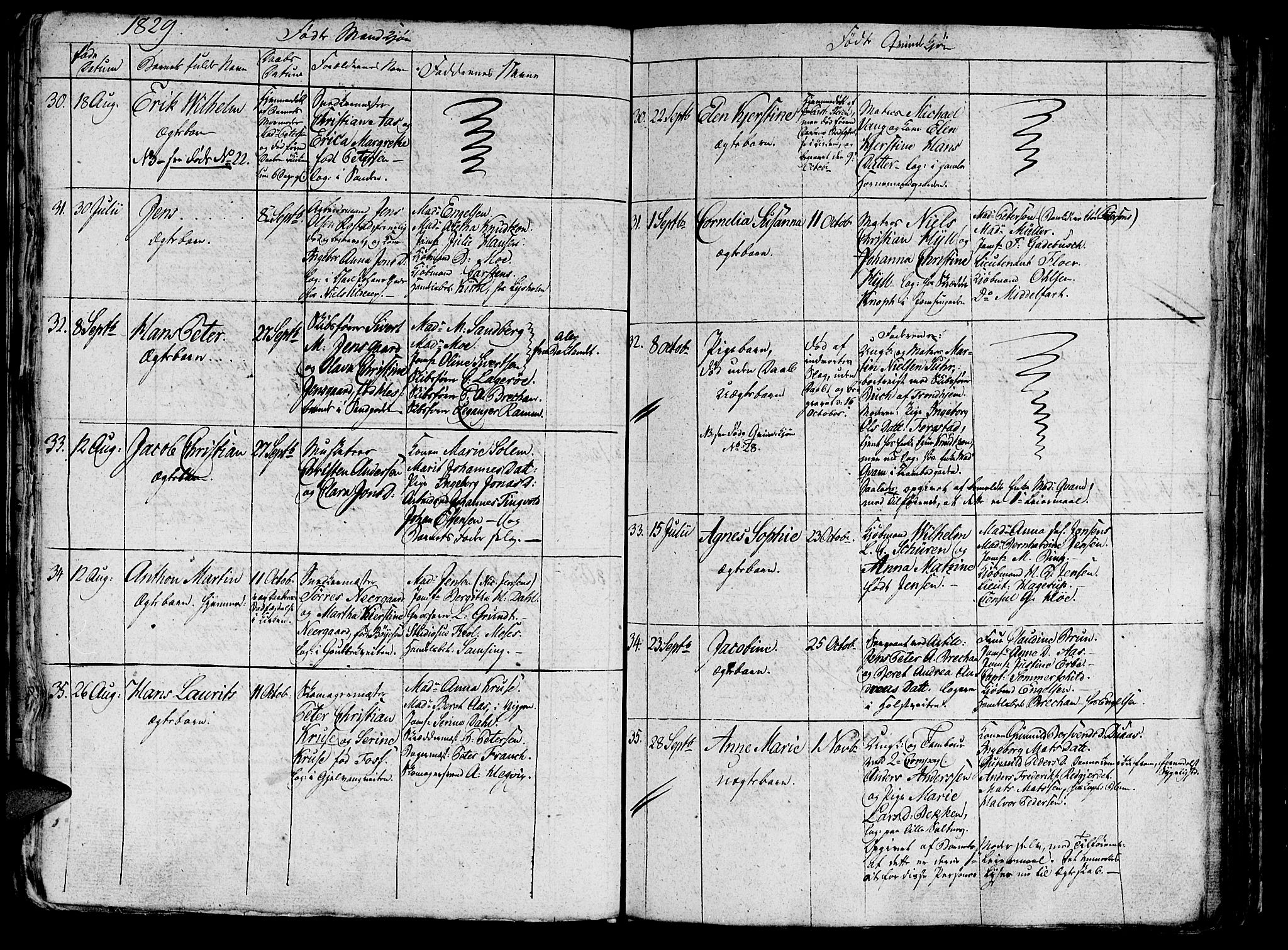 Ministerialprotokoller, klokkerbøker og fødselsregistre - Sør-Trøndelag, SAT/A-1456/602/L0135: Parish register (copy) no. 602C03, 1815-1832