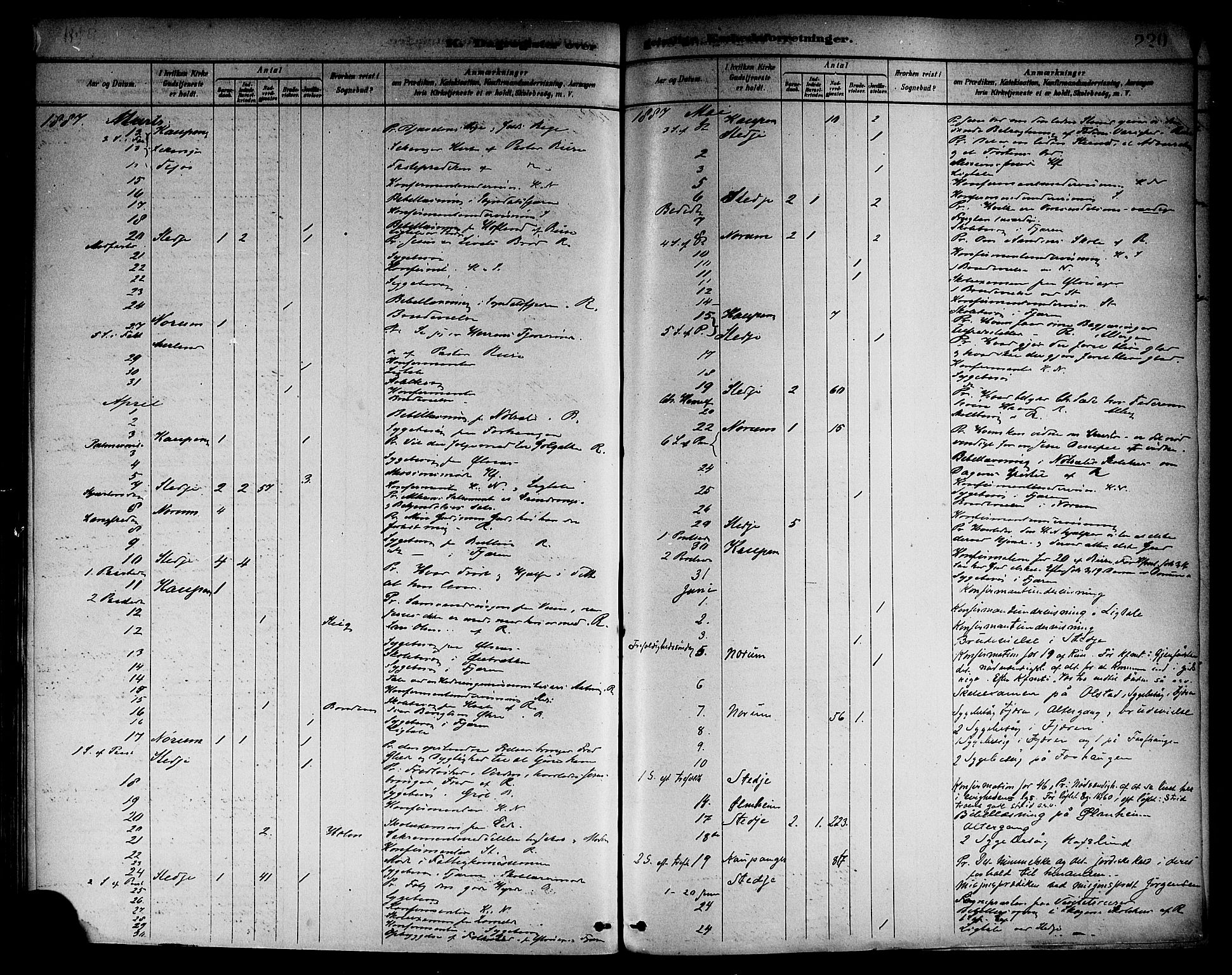 Sogndal sokneprestembete, AV/SAB-A-81301/H/Haa/Haab/L0001: Parish register (official) no. B 1, 1878-1899, p. 220