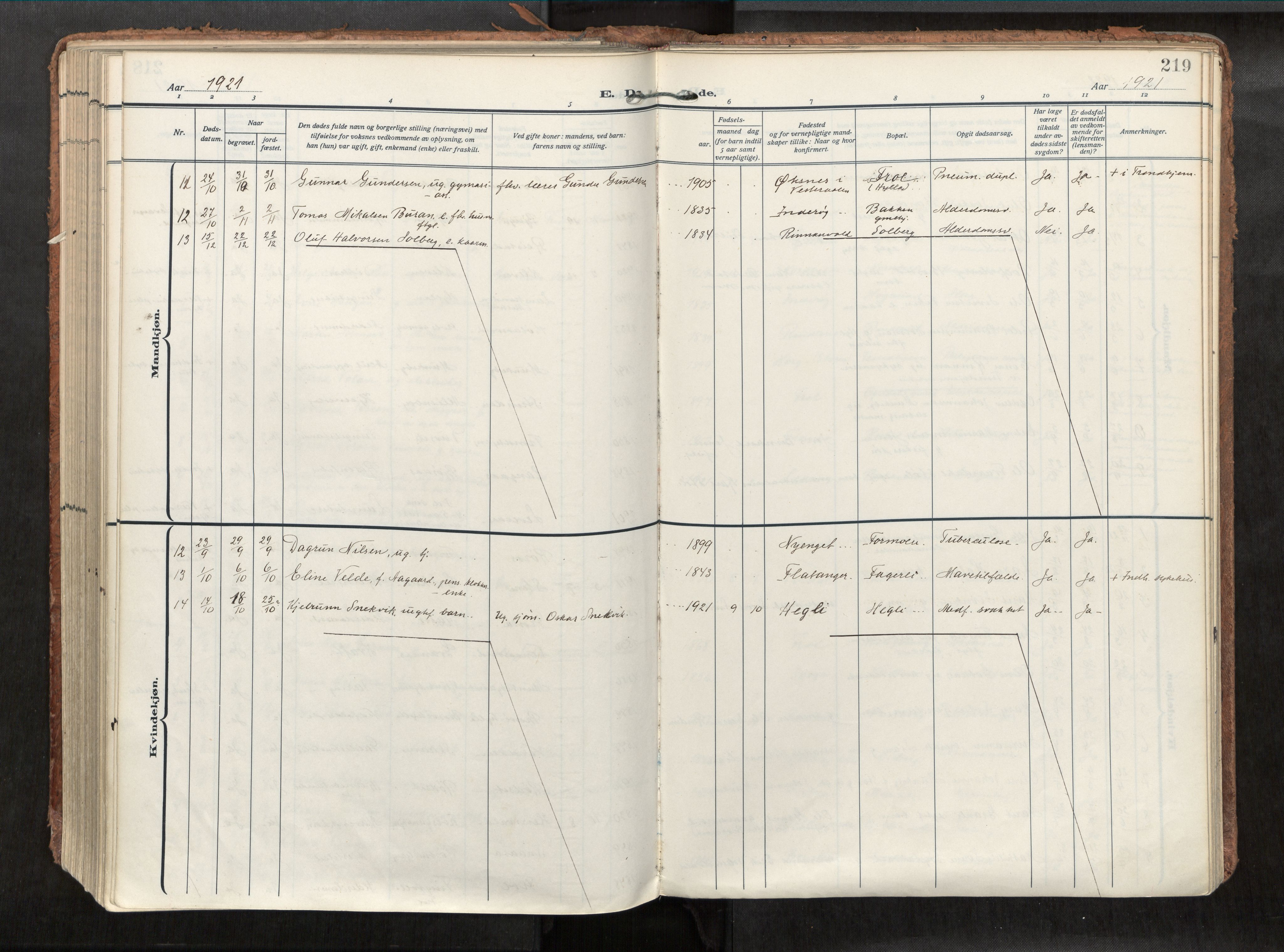 Levanger sokneprestkontor, SAT/A-1301/2/H/Haa/L0002: Parish register (official) no. 2, 1912-1935, p. 219