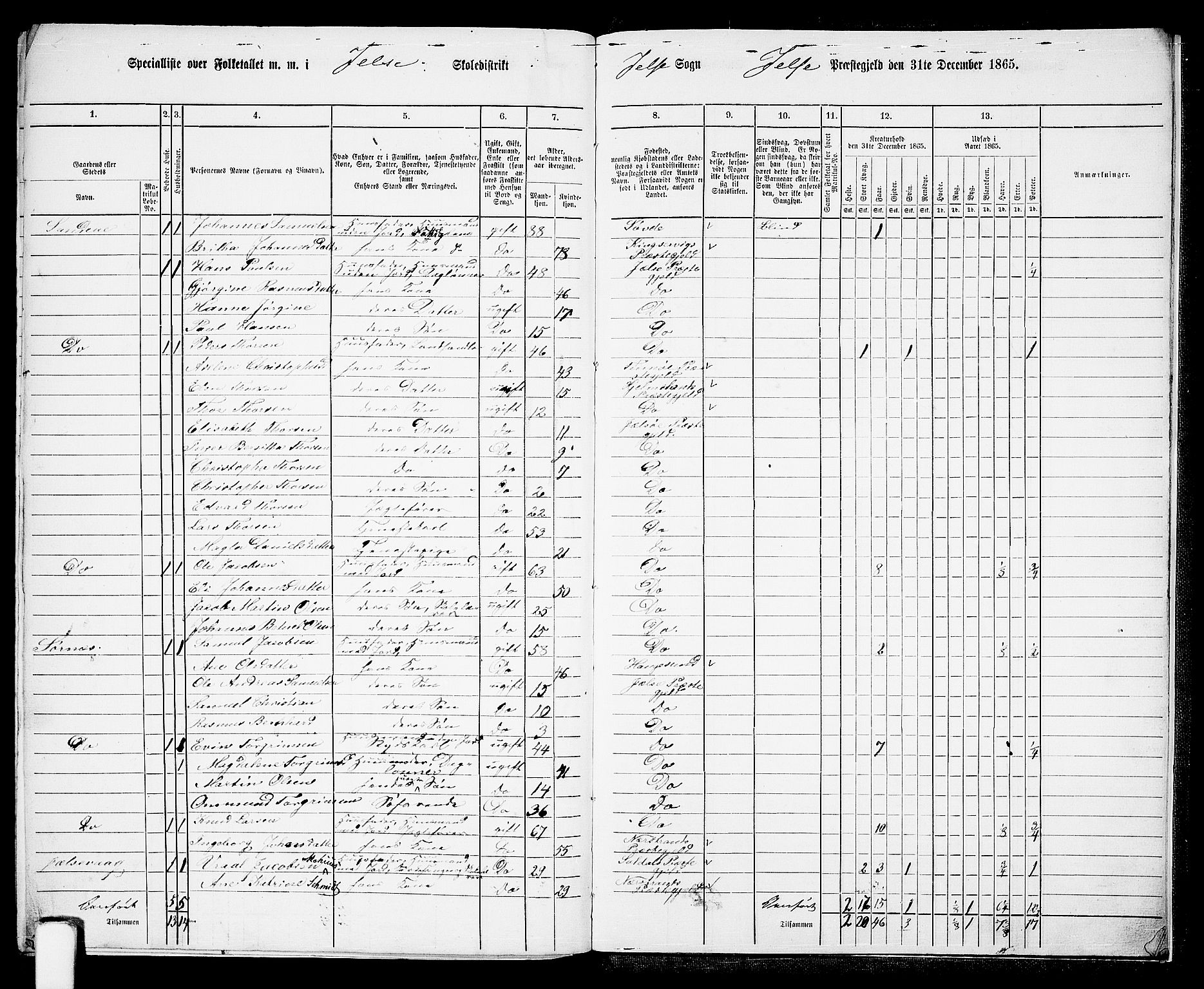 RA, 1865 census for Jelsa, 1865, p. 114