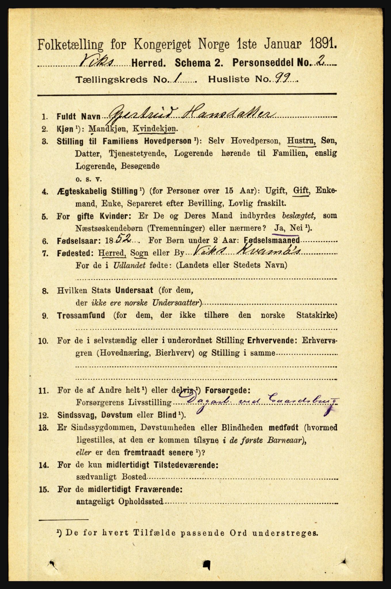 RA, 1891 census for 1417 Vik, 1891, p. 602