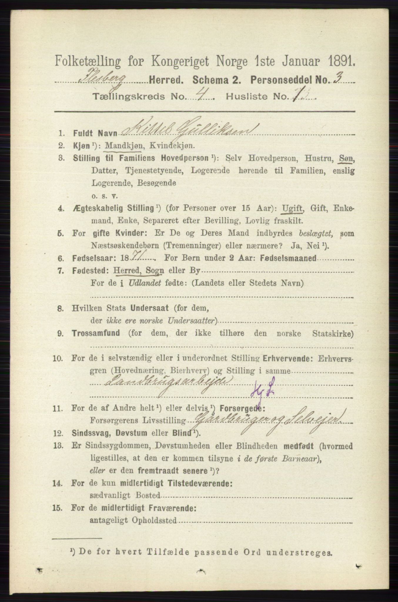 RA, 1891 census for 0631 Flesberg, 1891, p. 522