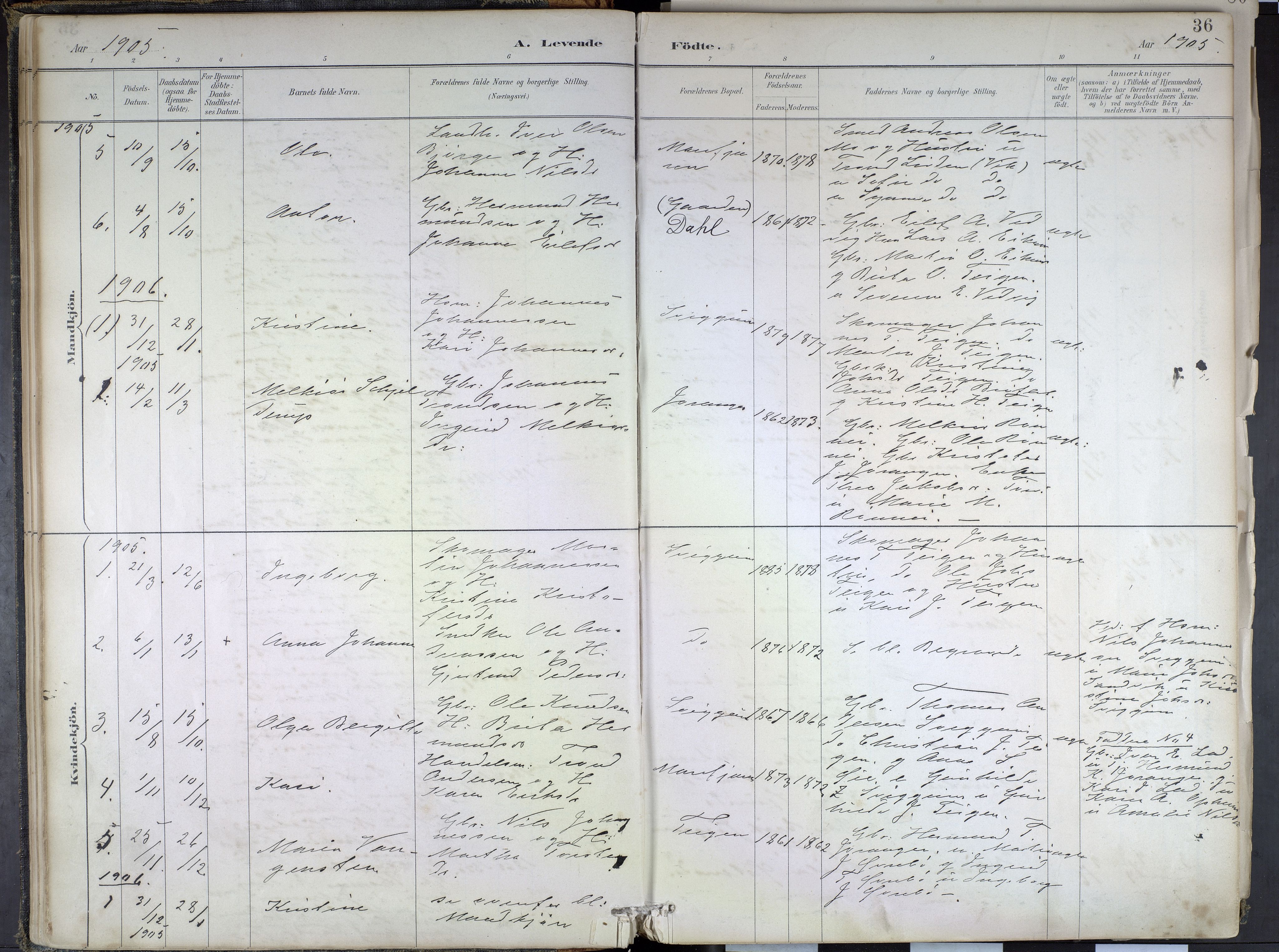 Hafslo sokneprestembete, SAB/A-80301/H/Haa/Haae/L0001: Parish register (official) no. E 1, 1886-1934, p. 36