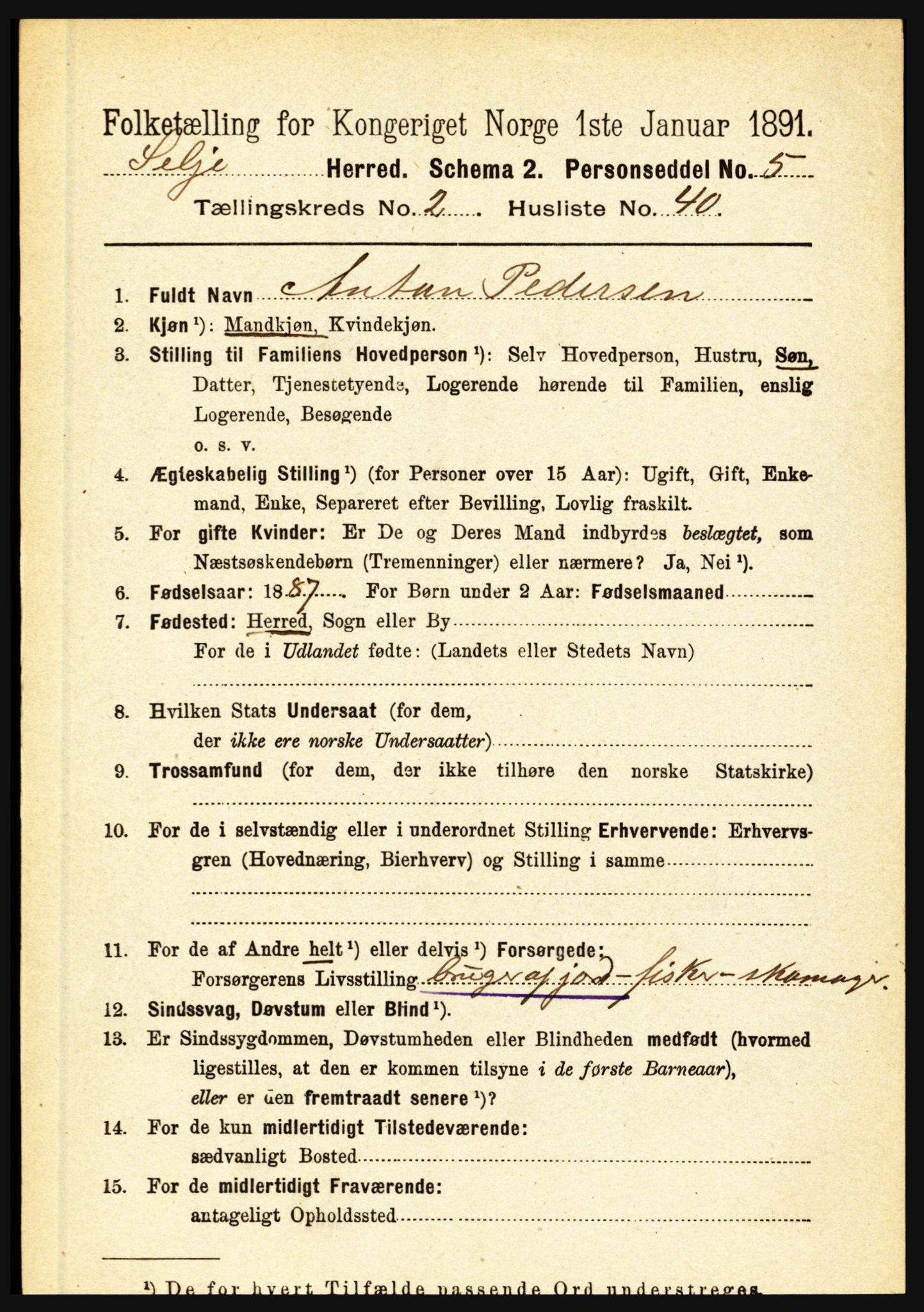 RA, 1891 census for 1441 Selje, 1891, p. 584