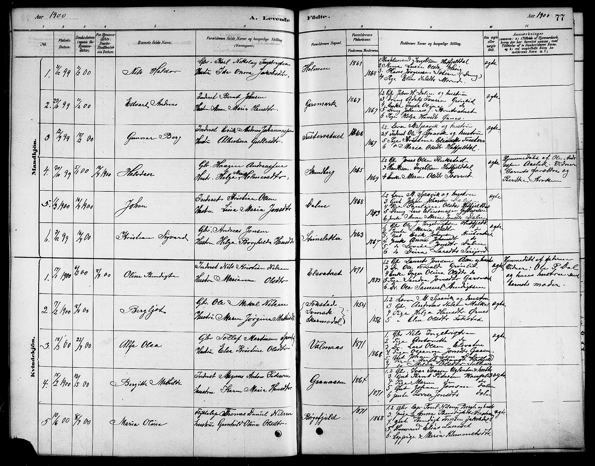 Ministerialprotokoller, klokkerbøker og fødselsregistre - Nordland, SAT/A-1459/823/L0330: Parish register (copy) no. 823C02, 1879-1916, p. 77