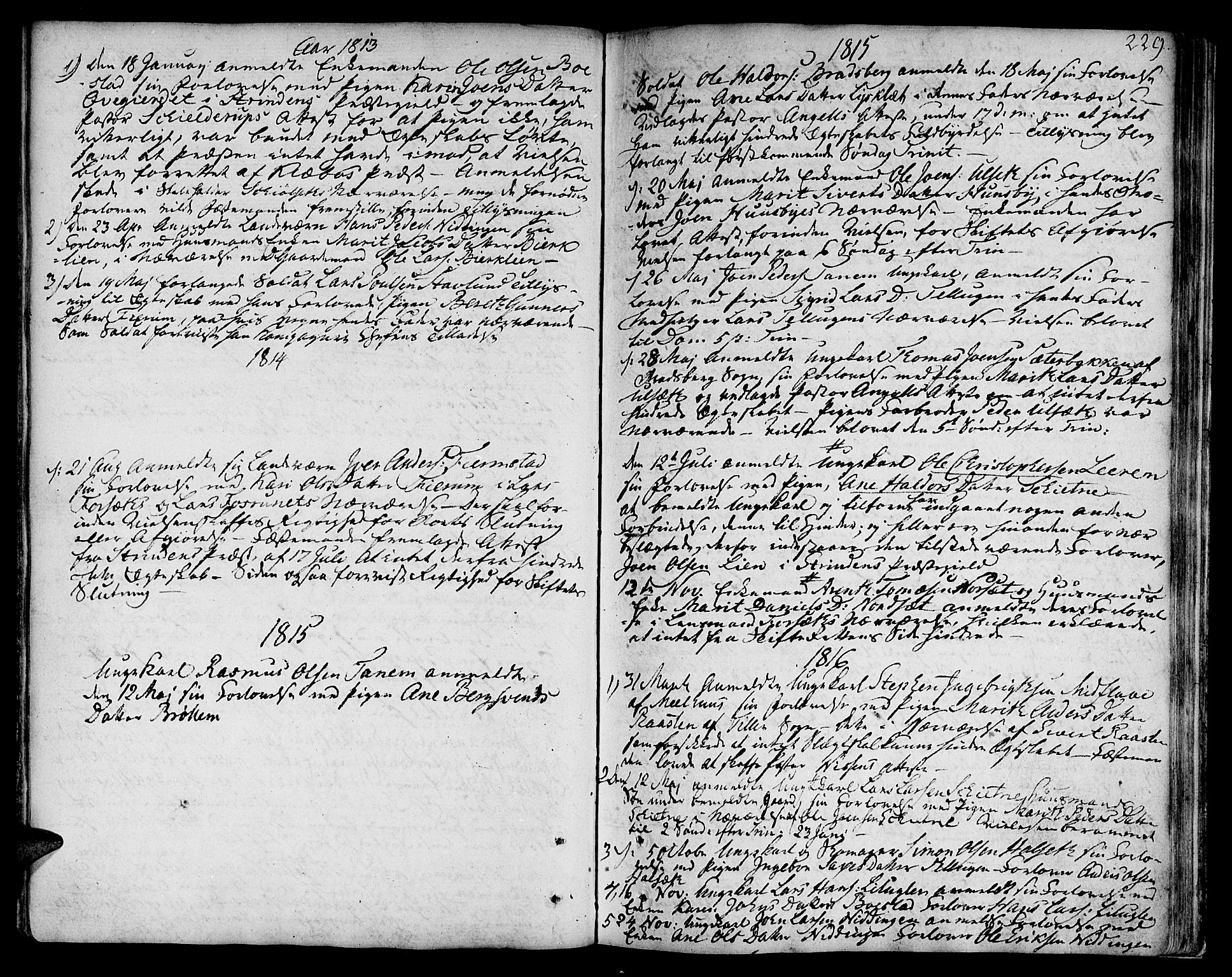 Ministerialprotokoller, klokkerbøker og fødselsregistre - Sør-Trøndelag, SAT/A-1456/618/L0438: Parish register (official) no. 618A03, 1783-1815, p. 229