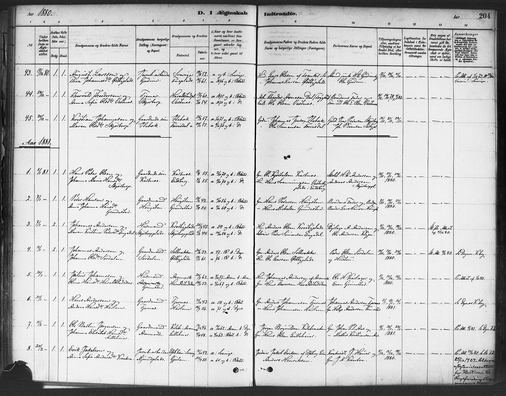 Rakkestad prestekontor Kirkebøker, AV/SAO-A-2008/F/Fa/L0012: Parish register (official) no. I 12, 1878-1893, p. 204