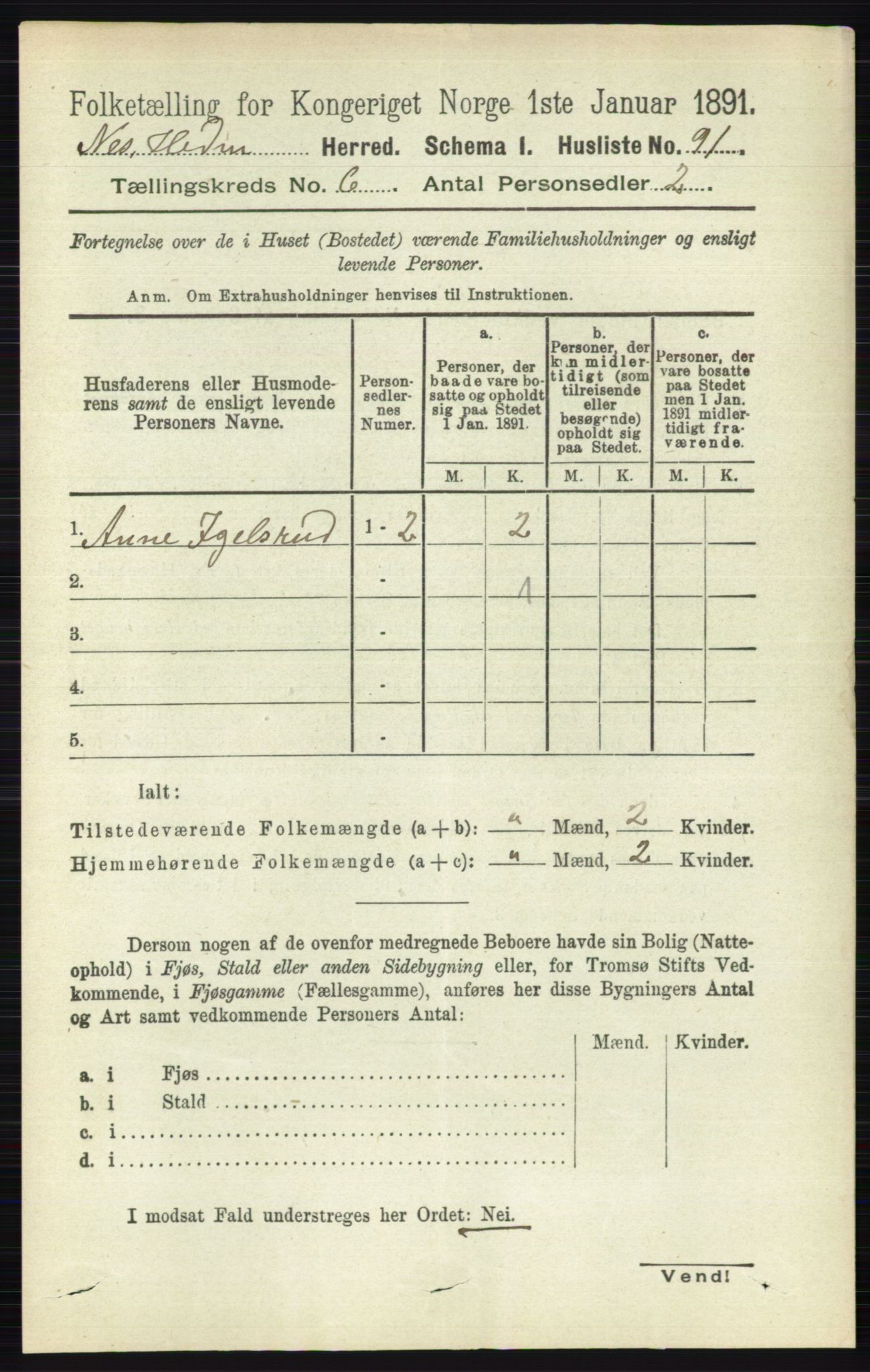 RA, 1891 census for 0411 Nes, 1891, p. 3259