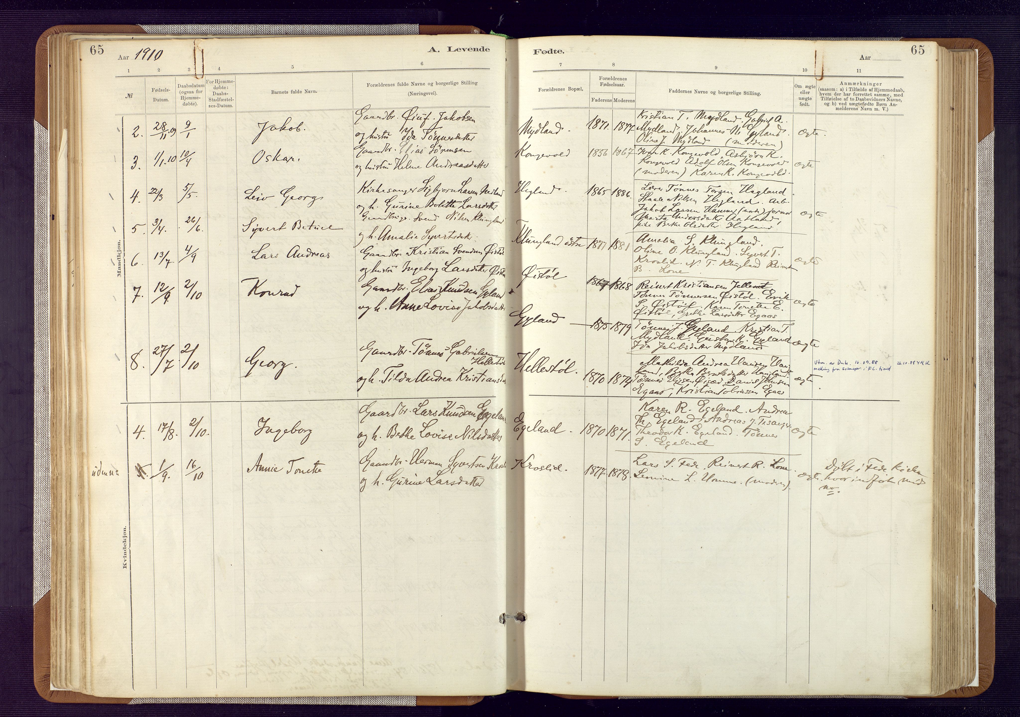 Bakke sokneprestkontor, AV/SAK-1111-0002/F/Fa/Fab/L0003: Parish register (official) no. A 3, 1884-1921, p. 65