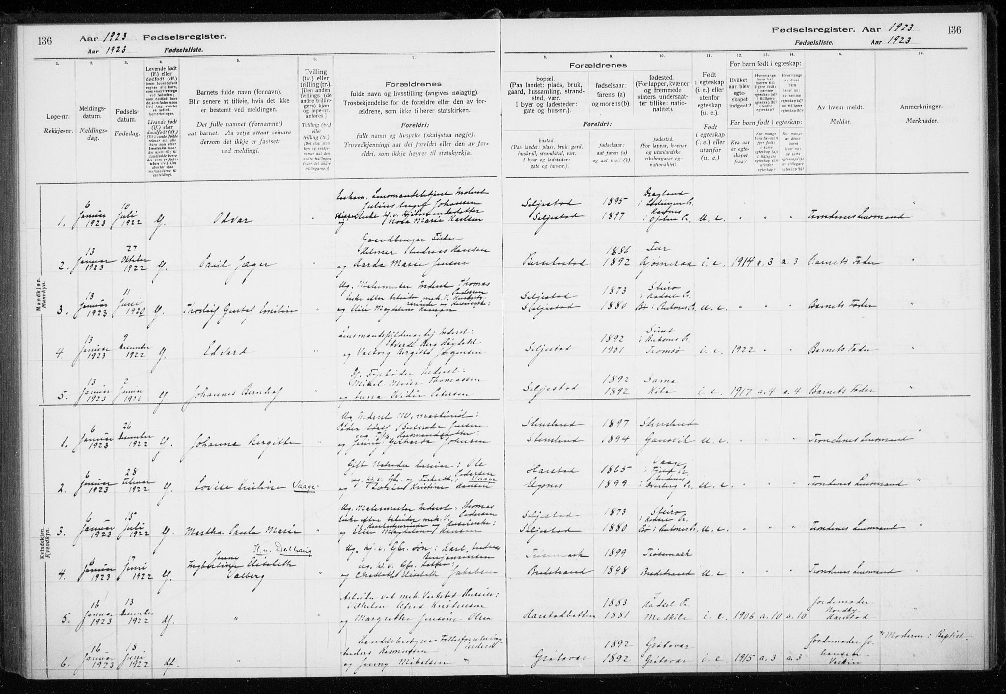 Trondenes sokneprestkontor, SATØ/S-1319/I/Ia/L0089: Birth register no. 89, 1916-1925, p. 136