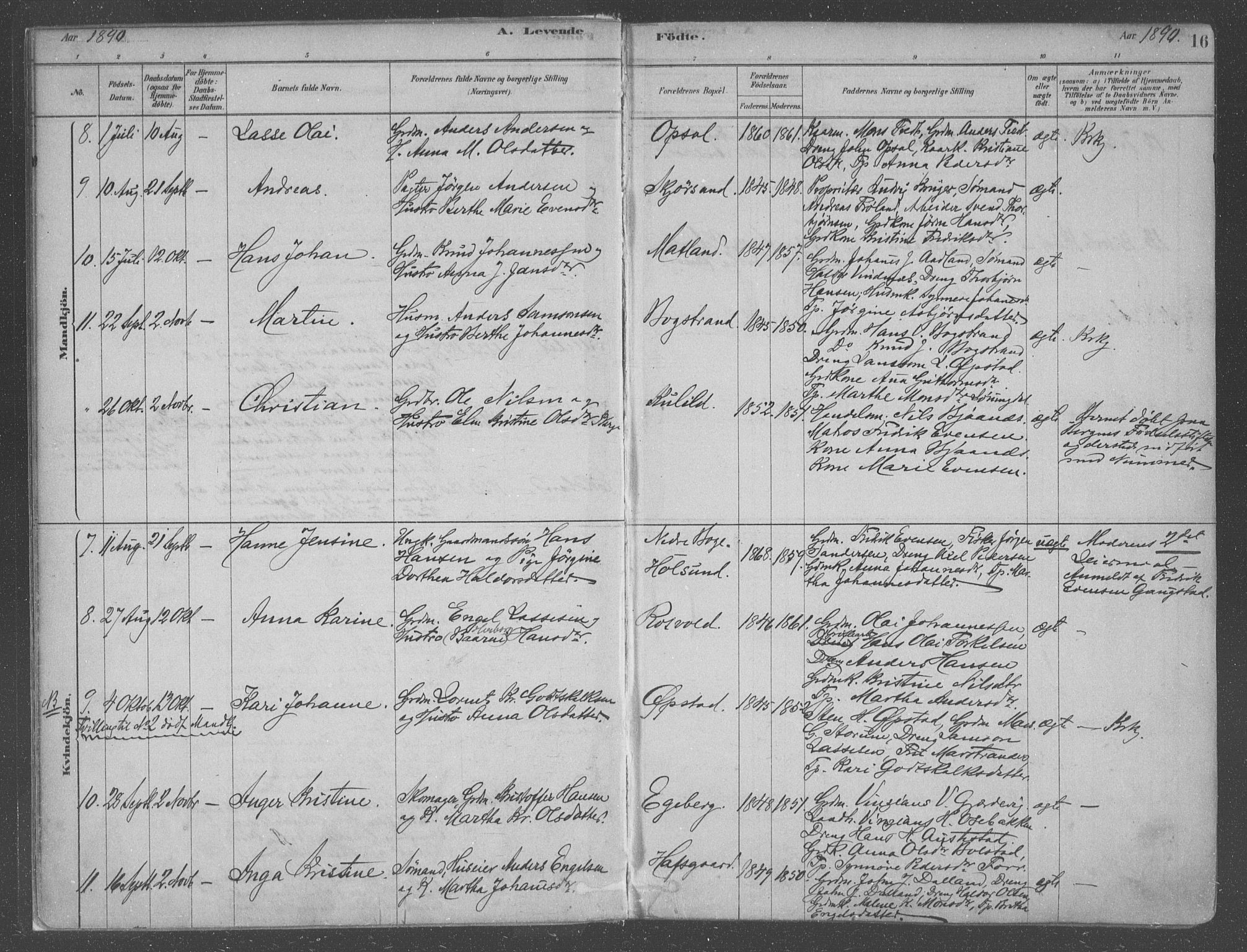 Fusa sokneprestembete, AV/SAB-A-75401/H/Haa: Parish register (official) no. B 1, 1880-1938, p. 16