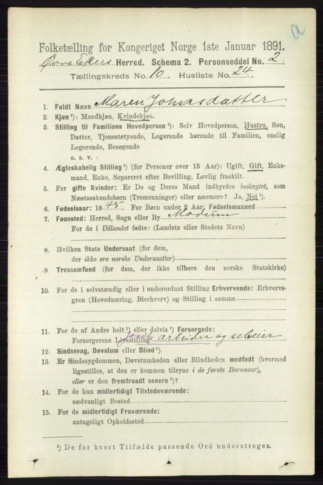 RA, 1891 census for 0624 Øvre Eiker, 1891, p. 4173