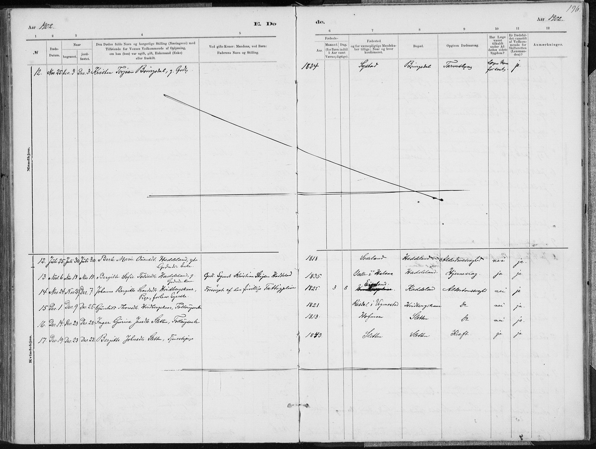 Holum sokneprestkontor, AV/SAK-1111-0022/F/Fa/Faa/L0007: Parish register (official) no. A 7, 1884-1907, p. 196