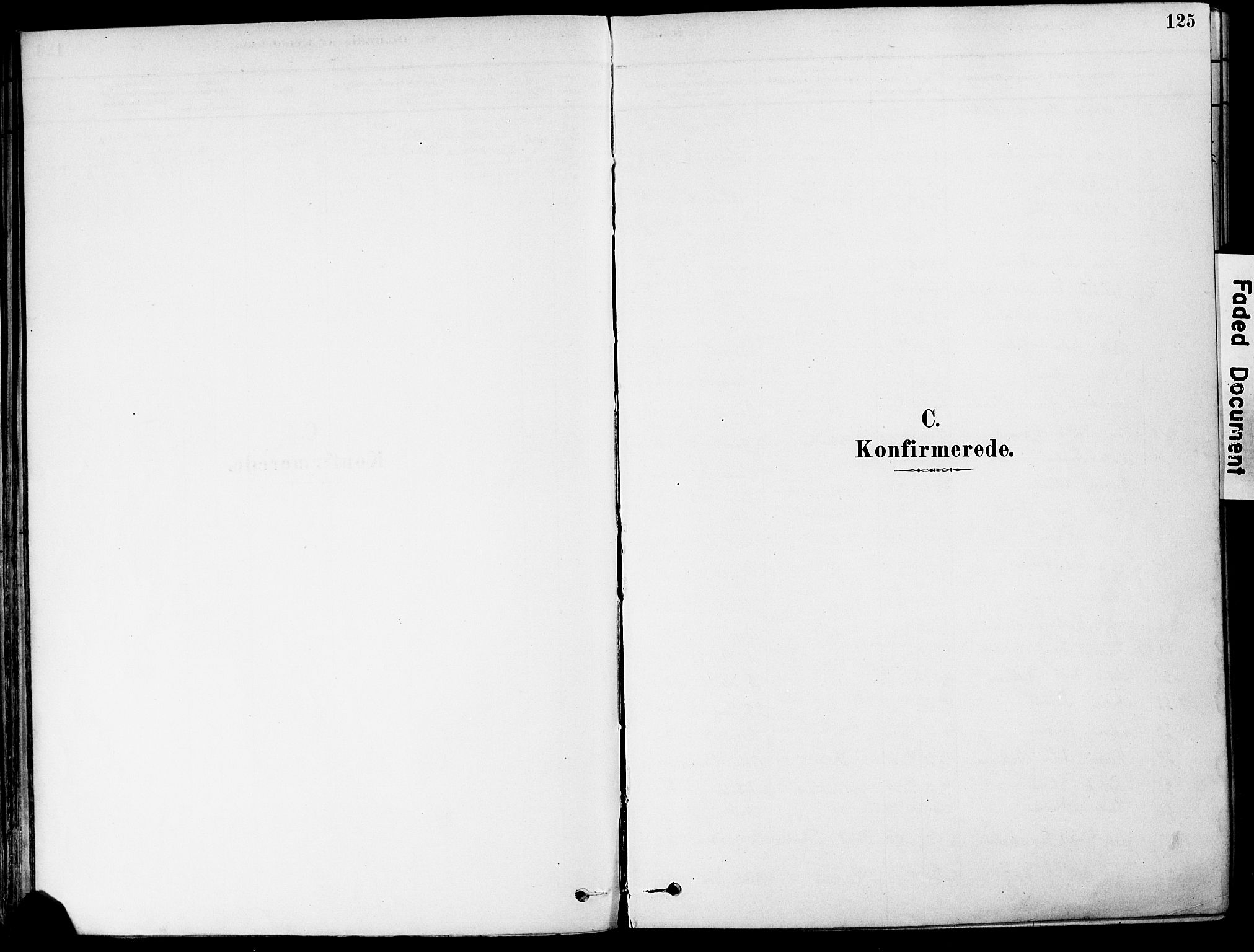 Holmestrand kirkebøker, SAKO/A-346/F/Fa/L0004: Parish register (official) no. 4, 1880-1901, p. 125