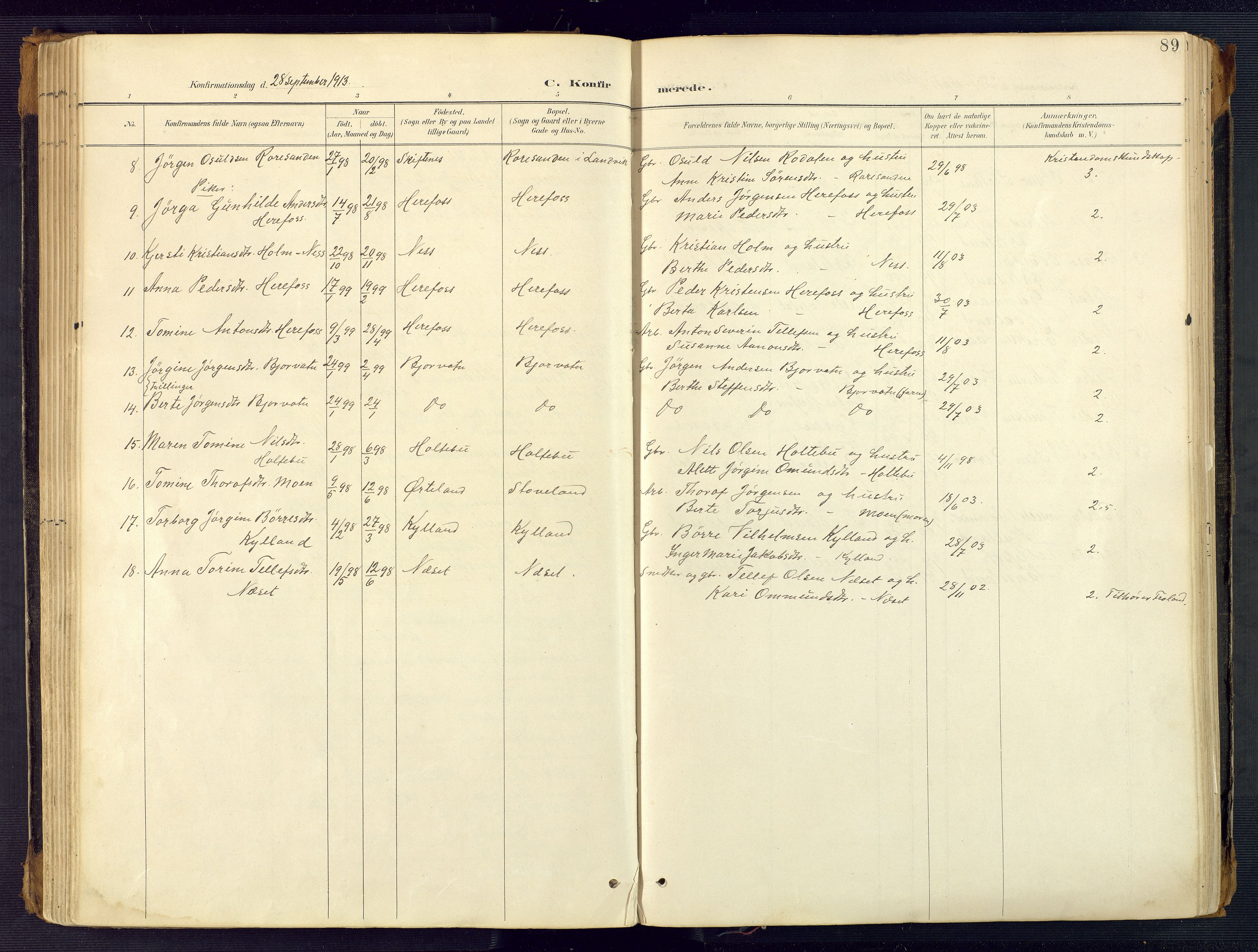 Herefoss sokneprestkontor, AV/SAK-1111-0019/F/Fa/Faa/L0003: Parish register (official) no. A 3, 1887-1930, p. 89