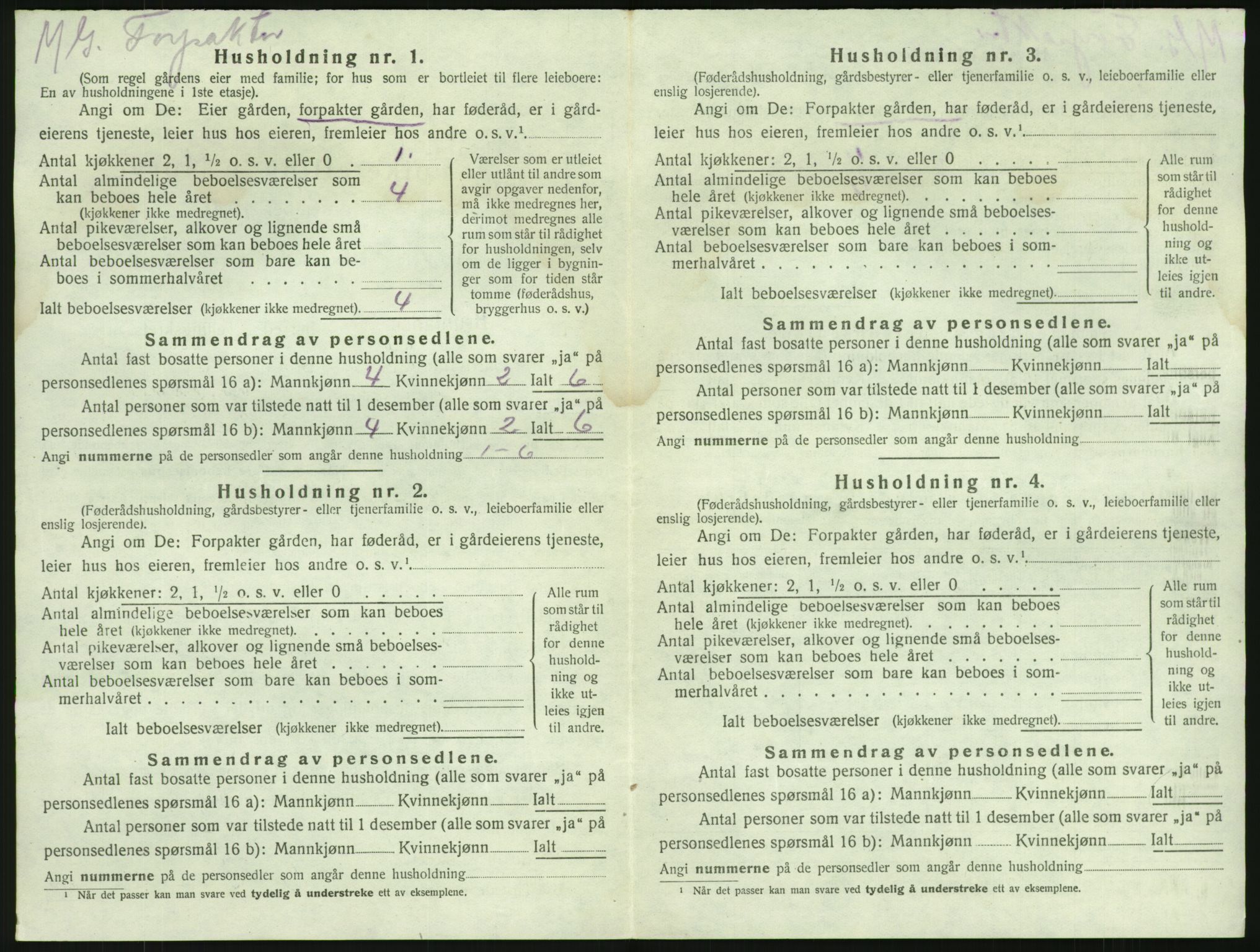 SAKO, 1920 census for Brunlanes, 1920, p. 918