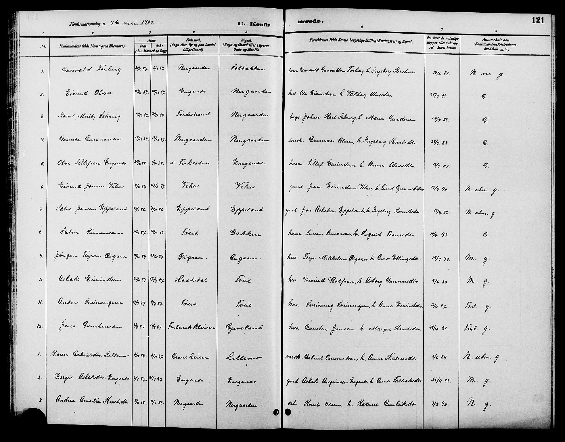 Åmli sokneprestkontor, AV/SAK-1111-0050/F/Fb/Fbc/L0004: Parish register (copy) no. B 4, 1889-1902, p. 121