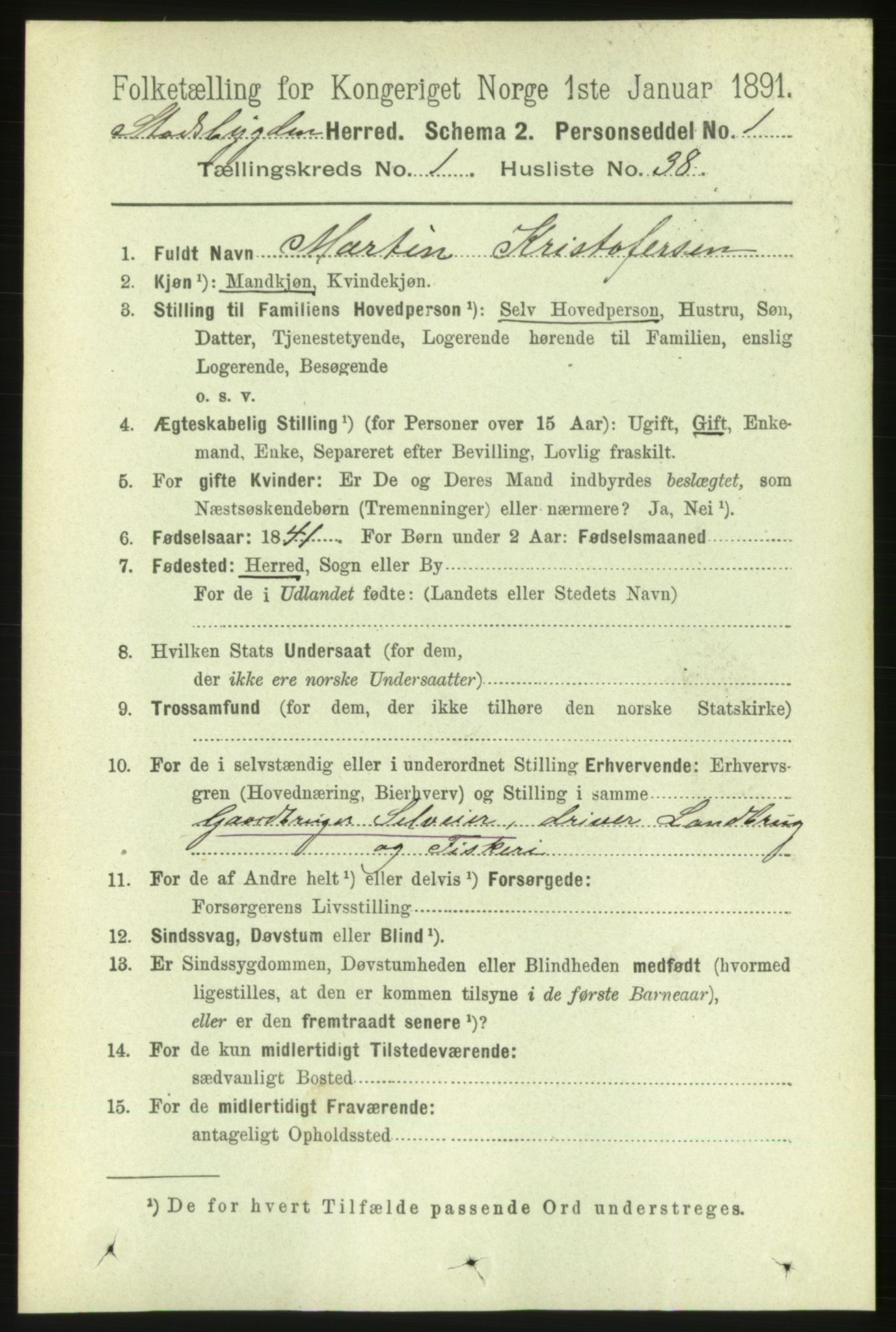 RA, 1891 census for 1625 Stadsbygd, 1891, p. 356