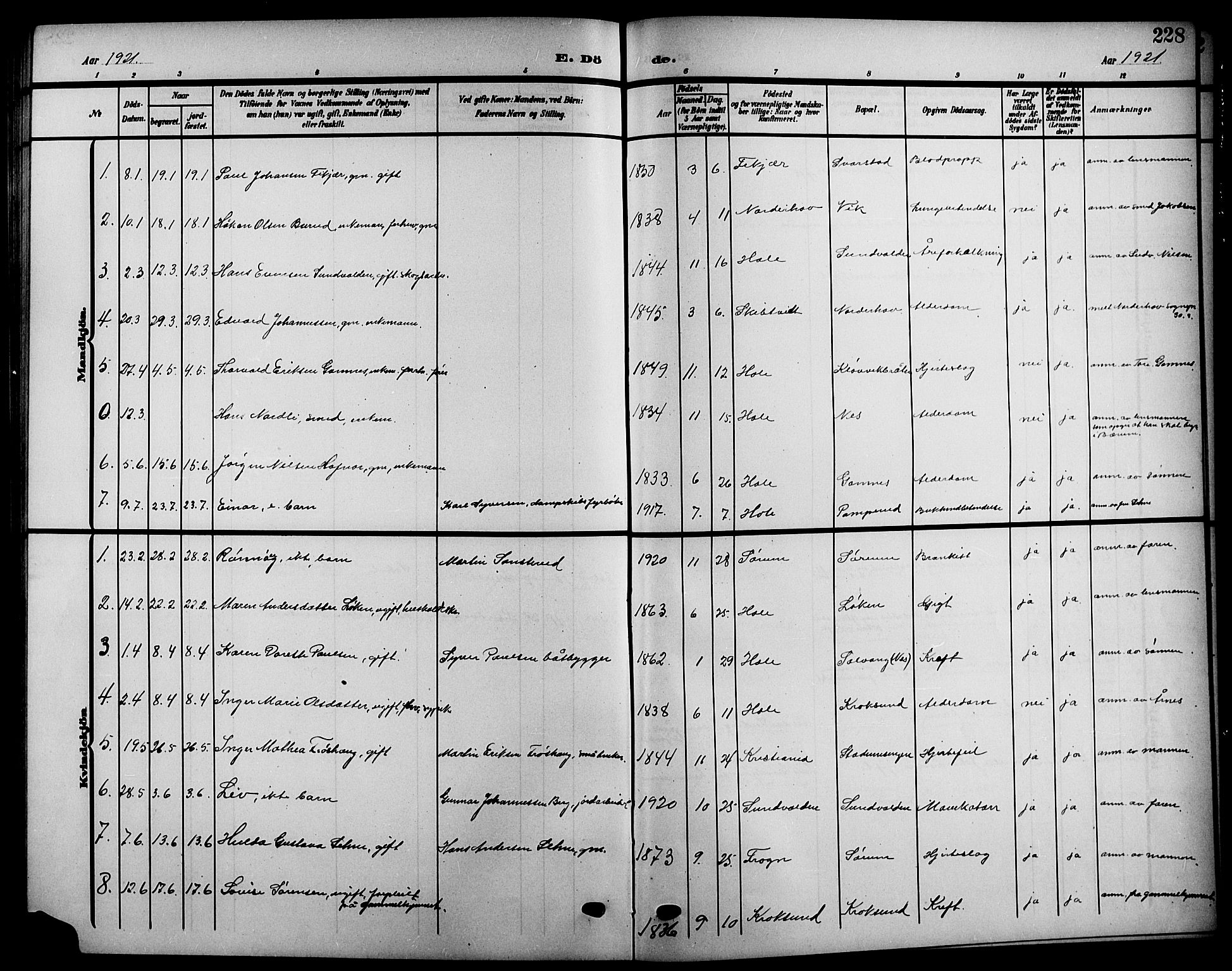 Hole kirkebøker, SAKO/A-228/G/Ga/L0004: Parish register (copy) no. I 4, 1905-1924, p. 228