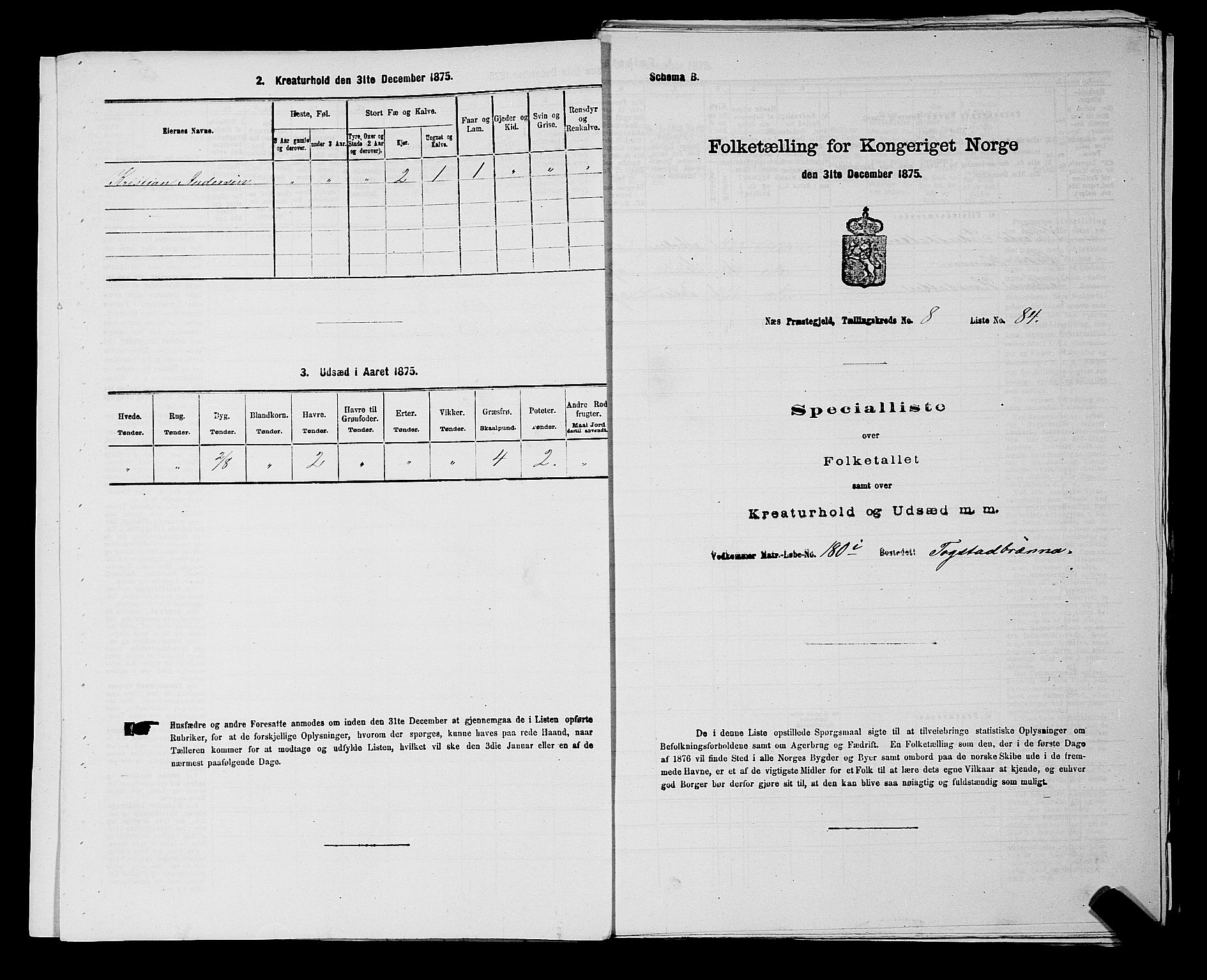 RA, 1875 census for 0236P Nes, 1875, p. 1396