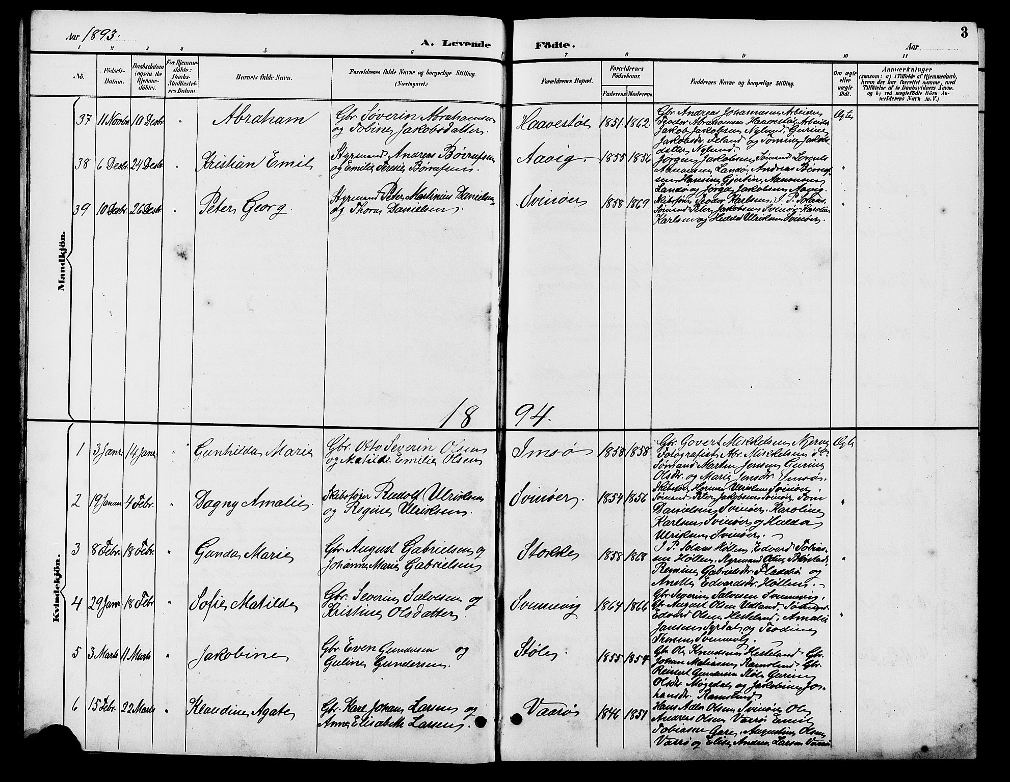 Sør-Audnedal sokneprestkontor, SAK/1111-0039/F/Fb/Fba/L0004: Parish register (copy) no. B 4, 1893-1909, p. 3