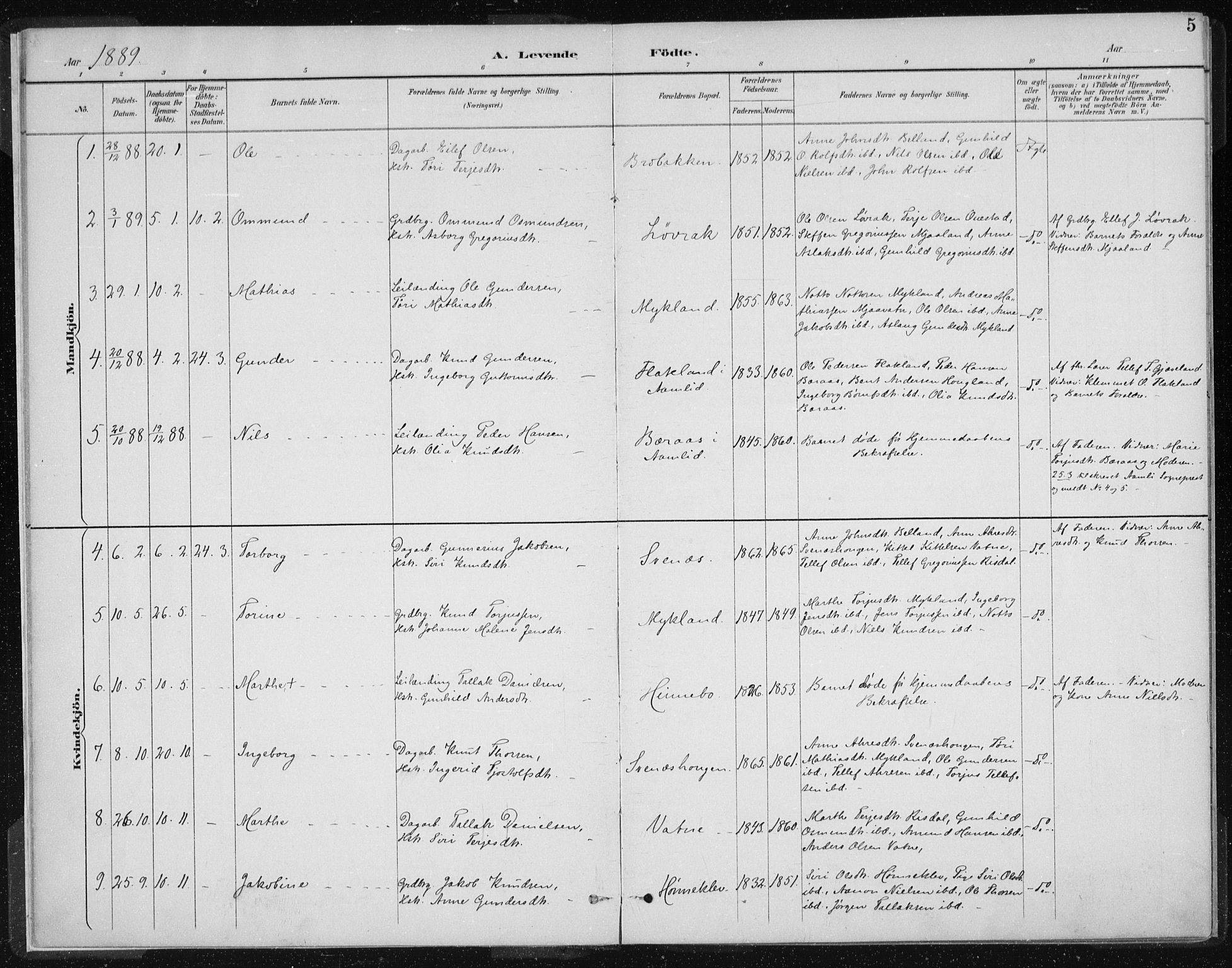 Herefoss sokneprestkontor, SAK/1111-0019/F/Fa/Fac/L0002: Parish register (official) no. A 2, 1887-1915, p. 5