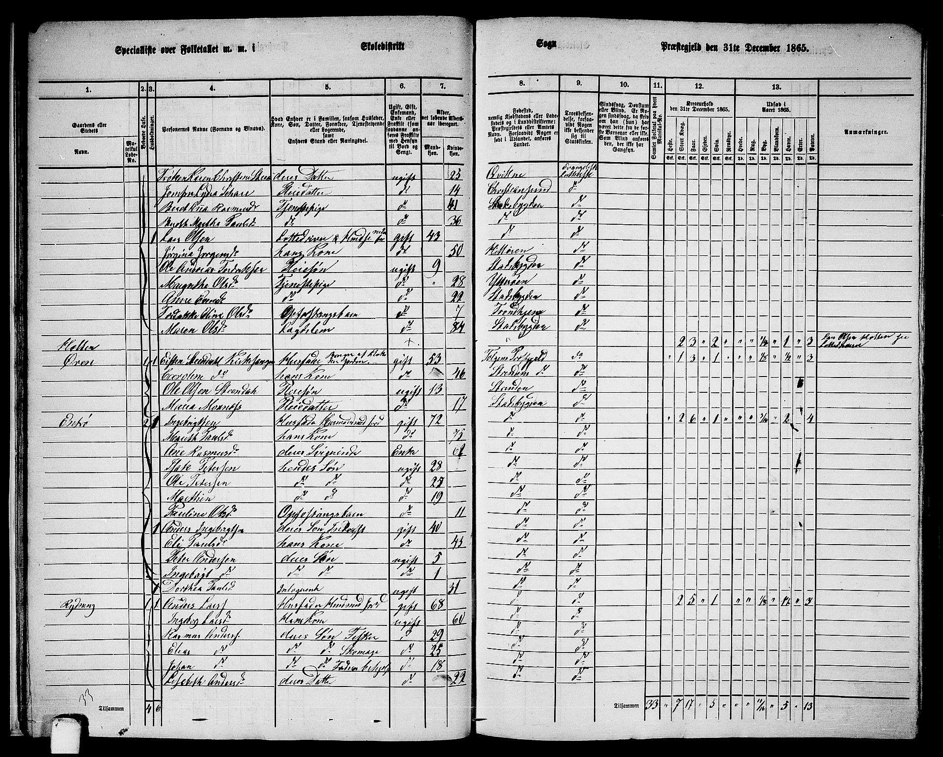 RA, 1865 census for Stadsbygd, 1865, p. 21
