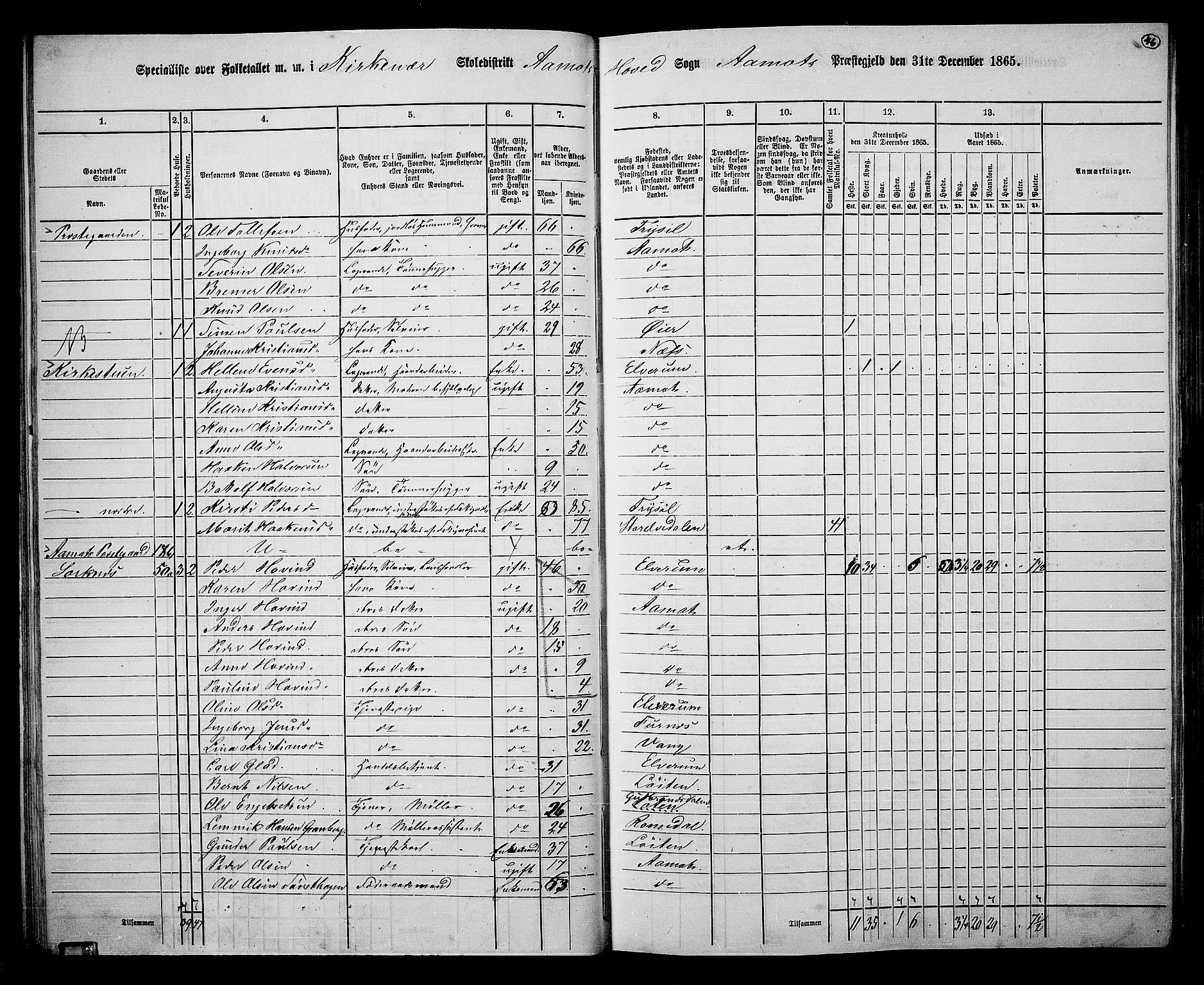 RA, 1865 census for Åmot, 1865, p. 43