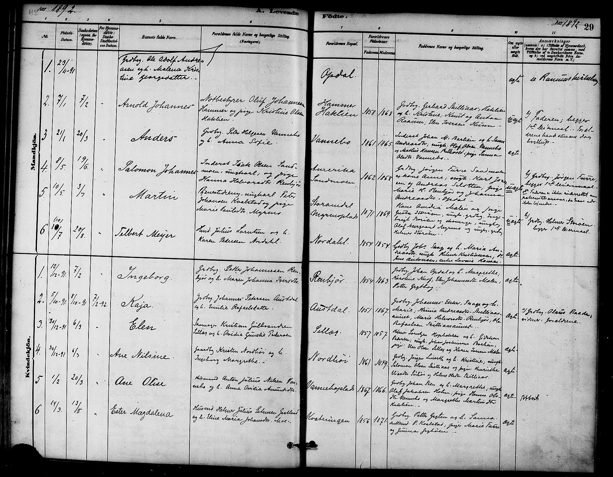 Ministerialprotokoller, klokkerbøker og fødselsregistre - Nord-Trøndelag, AV/SAT-A-1458/766/L0563: Parish register (official) no. 767A01, 1881-1899, p. 29