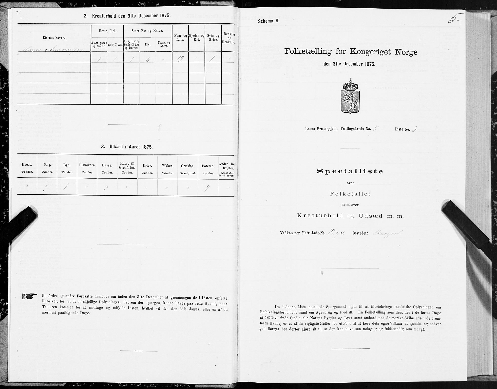 SAT, 1875 census for 1814P Brønnøy, 1875, p. 3005