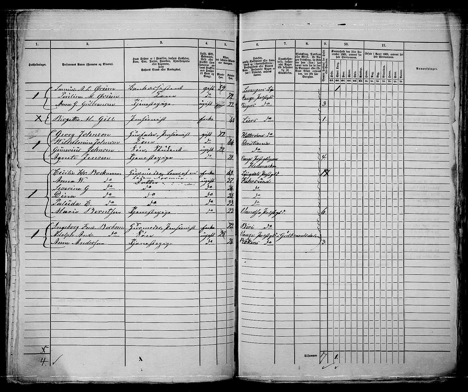 RA, 1865 census for Kristiania, 1865, p. 5254