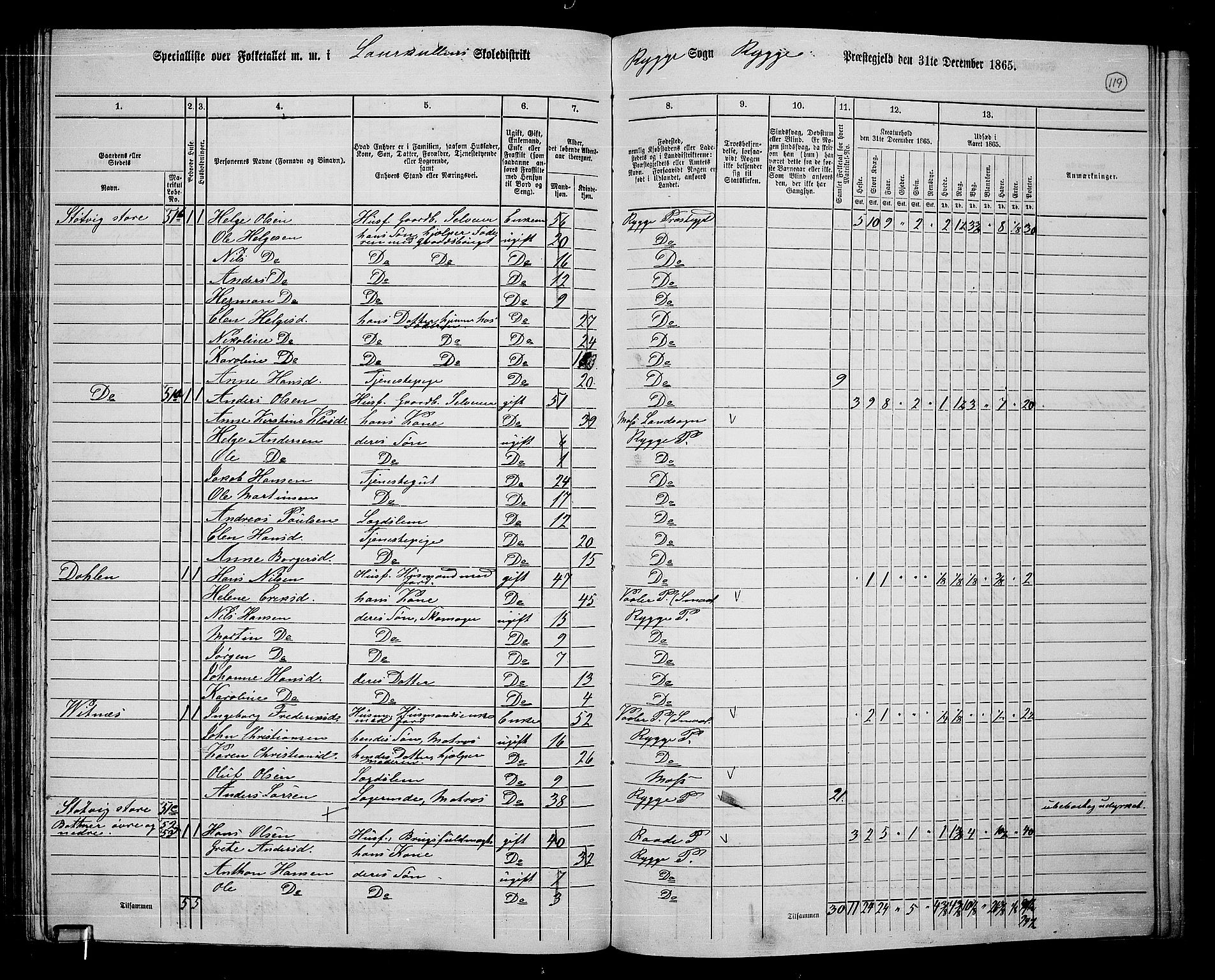 RA, 1865 census for Rygge, 1865, p. 63