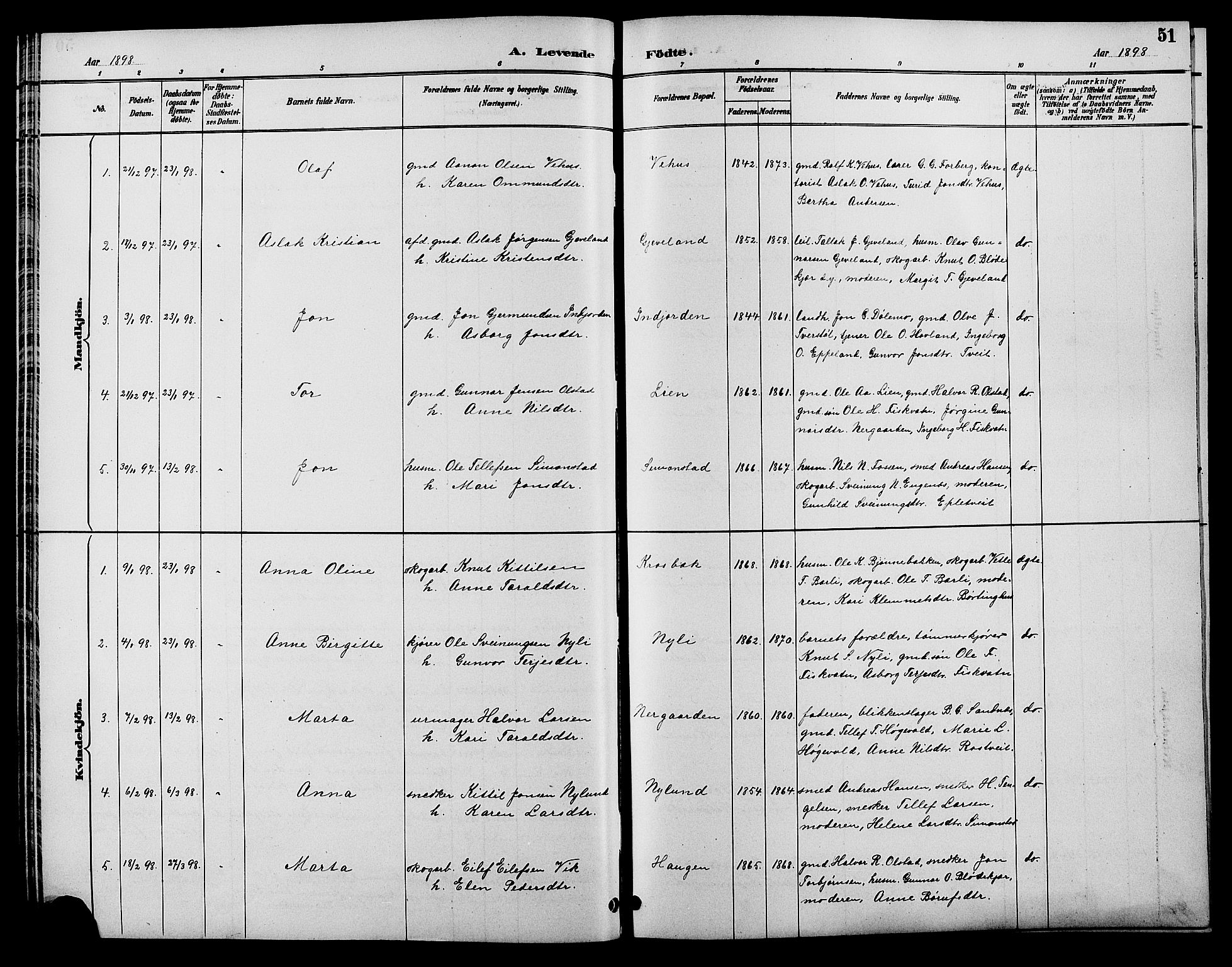 Åmli sokneprestkontor, AV/SAK-1111-0050/F/Fb/Fbc/L0004: Parish register (copy) no. B 4, 1889-1902, p. 51